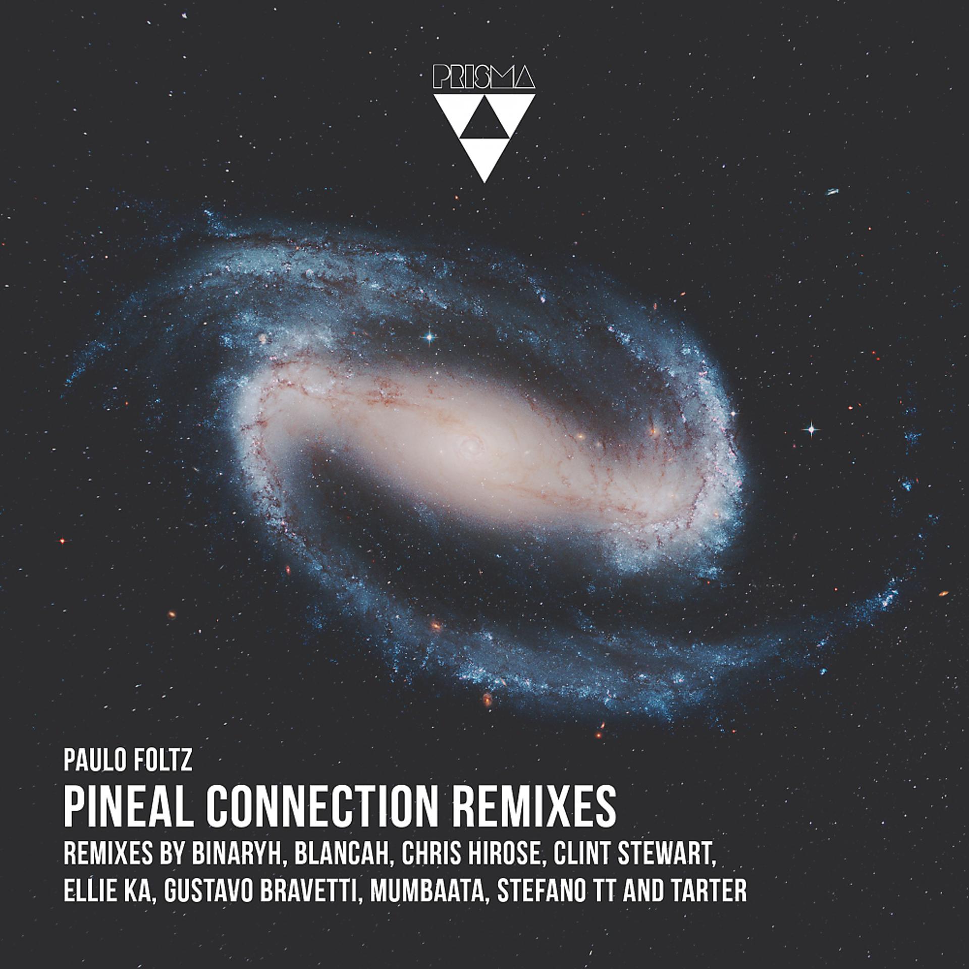 Постер альбома Pineal Connection Remixes