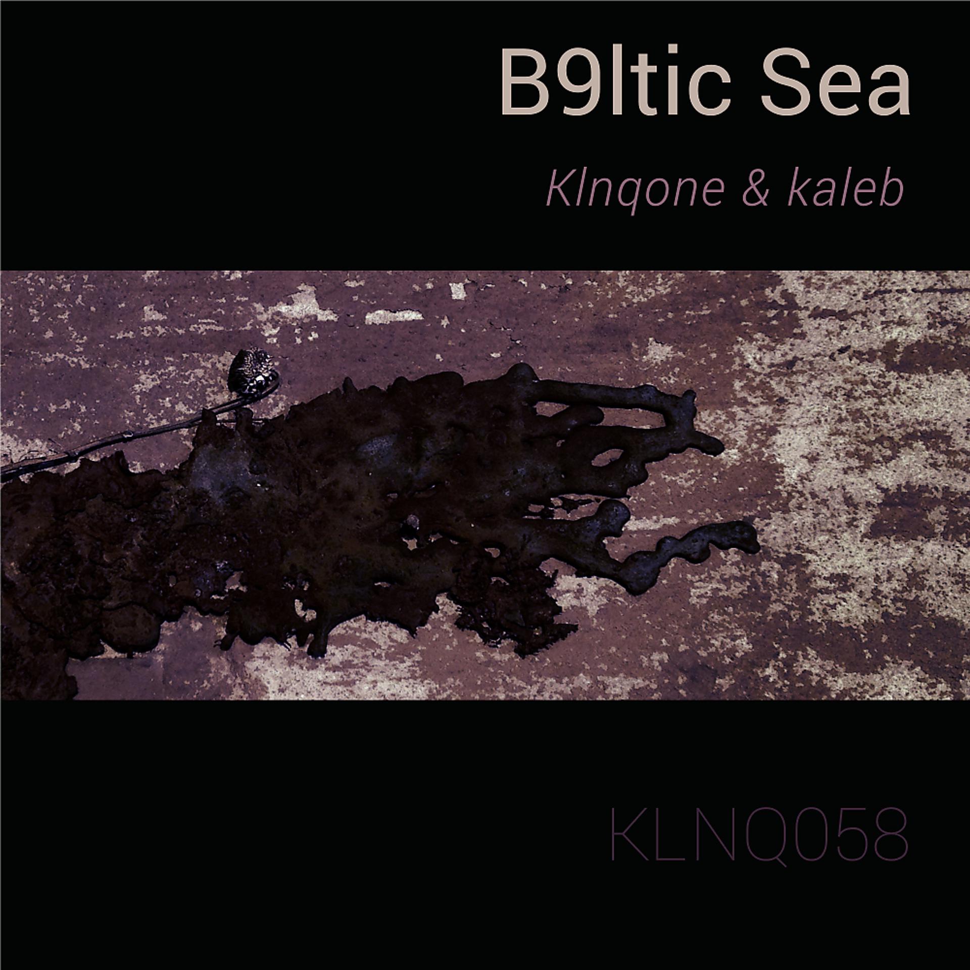 Постер альбома B9ltic Sea