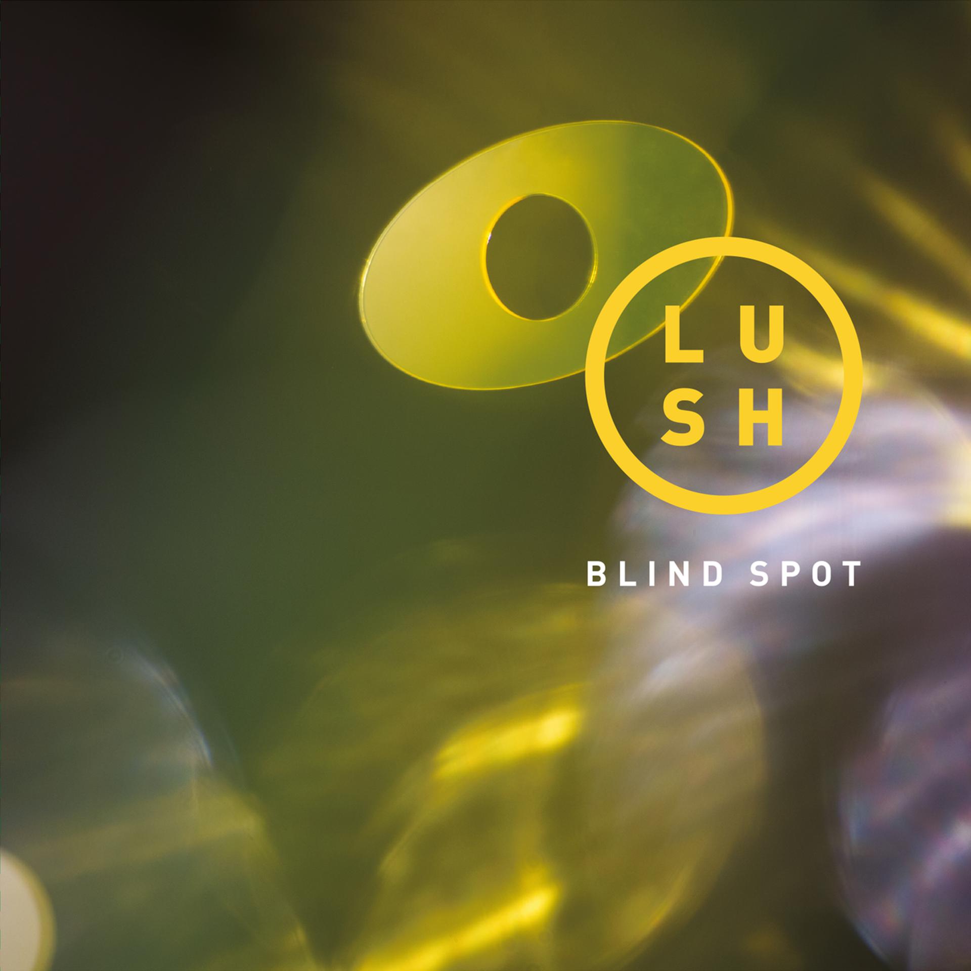 Постер альбома Blind Spot