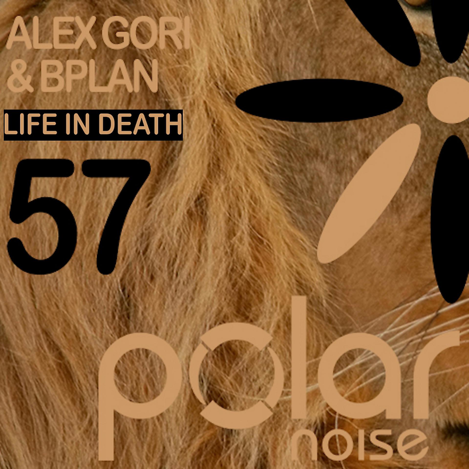 Постер альбома Life In Death