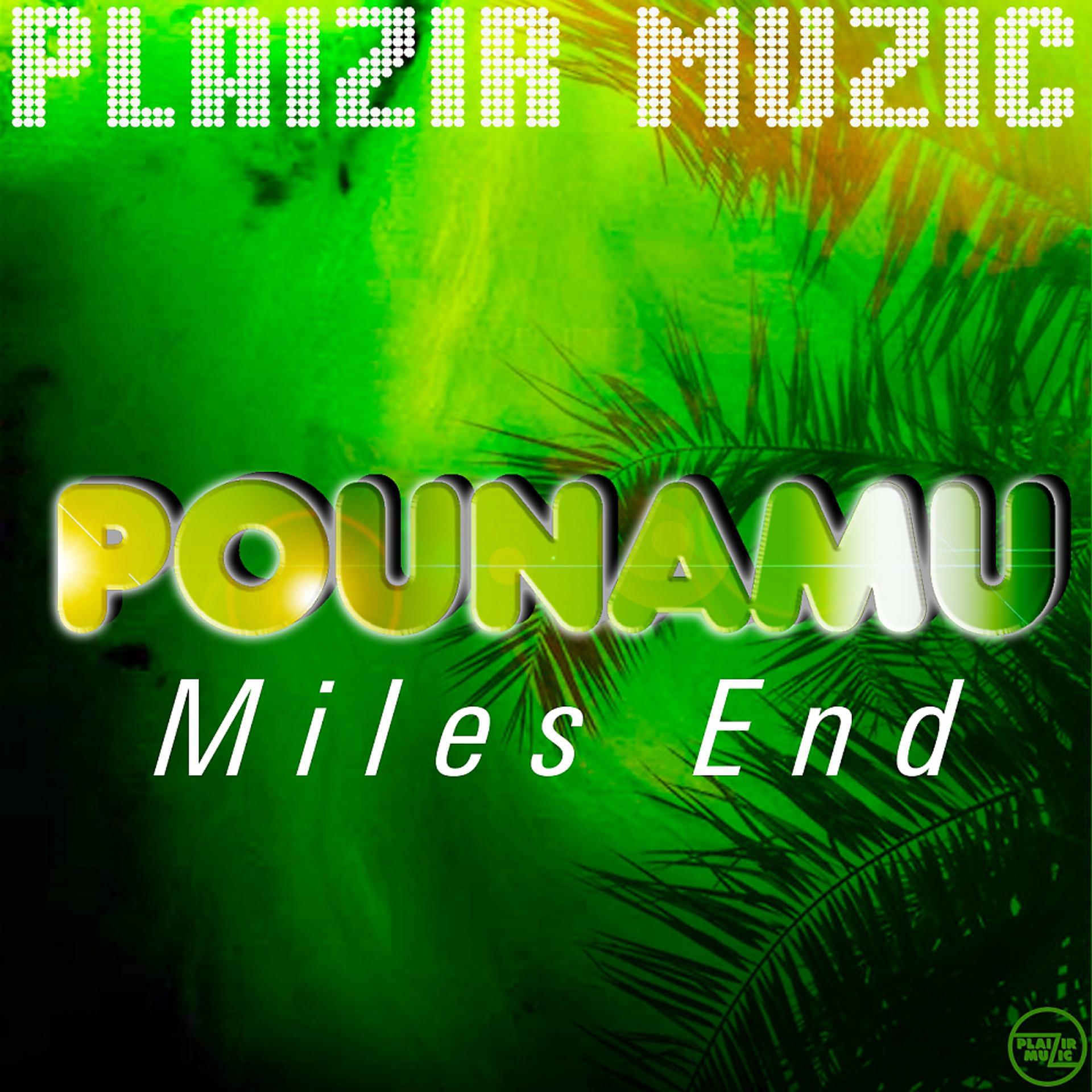 Постер альбома Pounamu