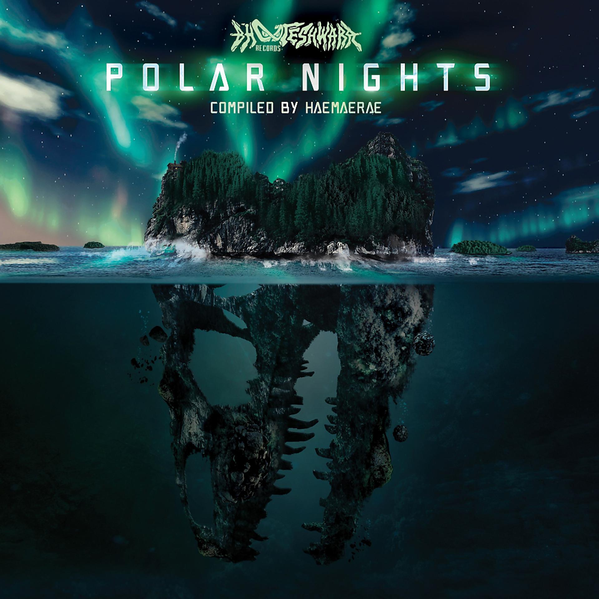 Постер альбома Polar Nights