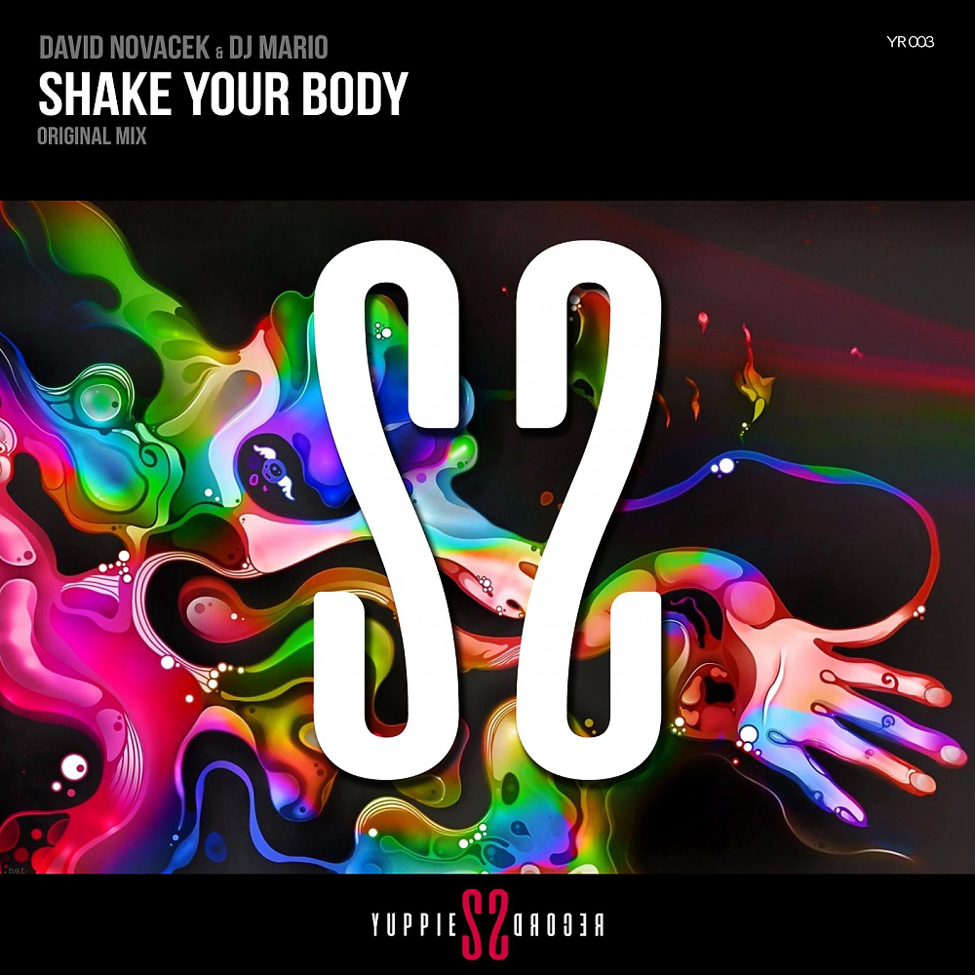 Постер альбома Shake Your Body (Radio Edit)