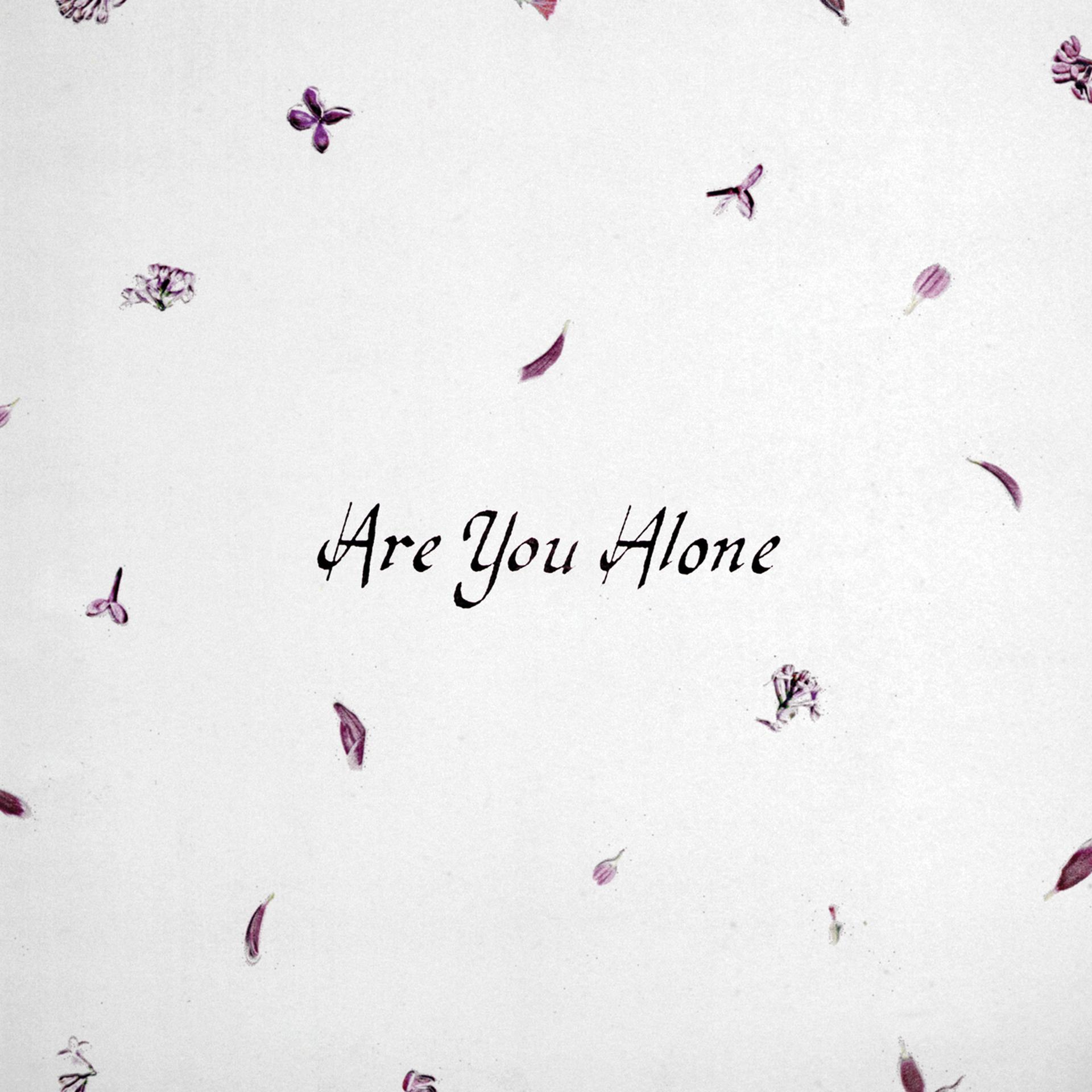 Постер альбома Are You Alone?