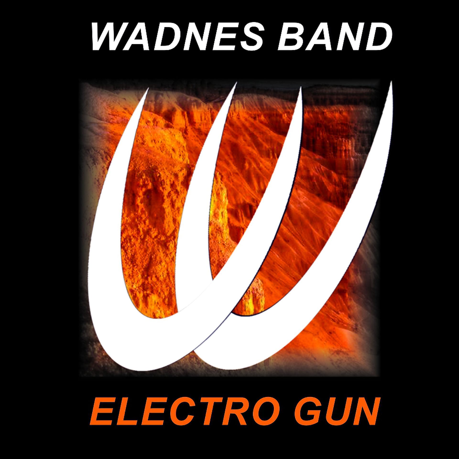 Постер альбома Electro Gun