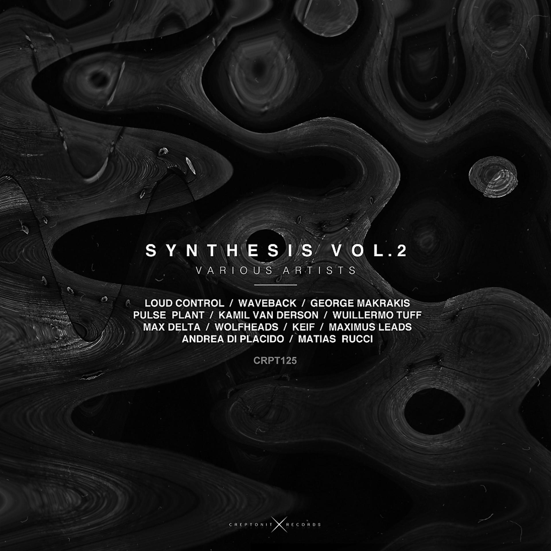 Постер альбома SYNTHESIS, Vol. 2