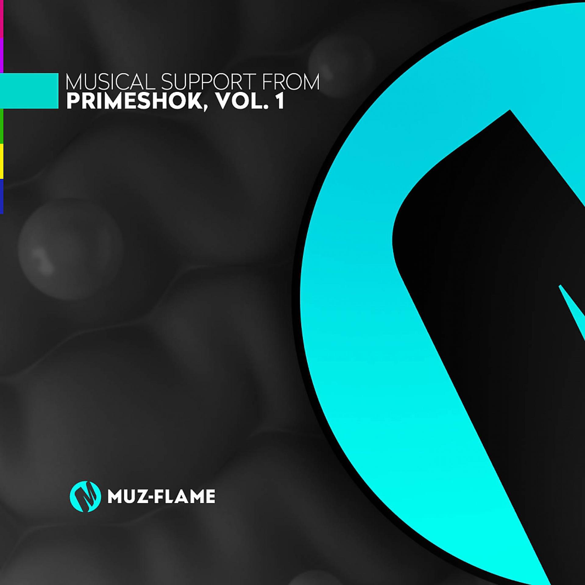 Постер альбома Musical Support From Primeshok., Vol. 1
