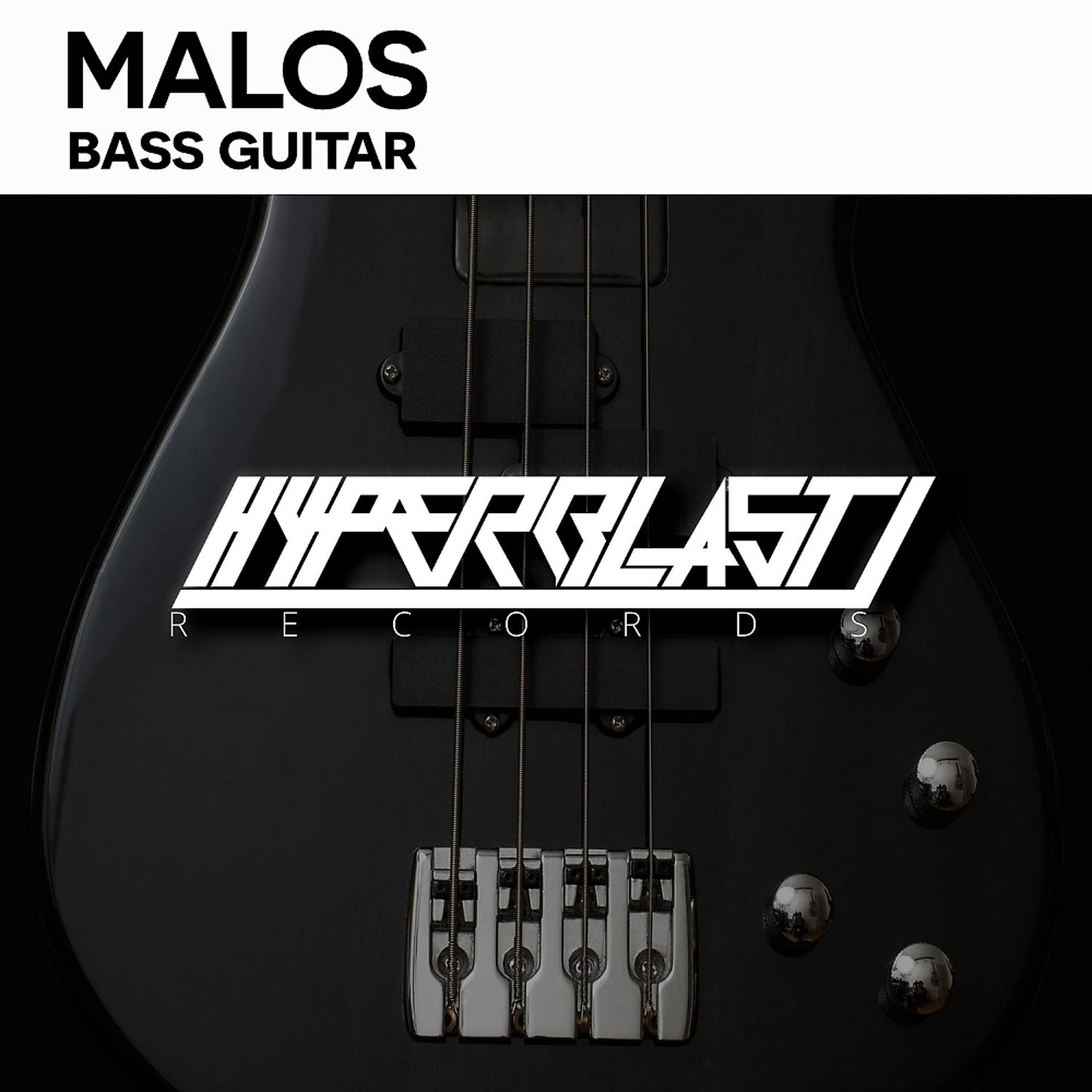 Постер альбома Bass Guitar