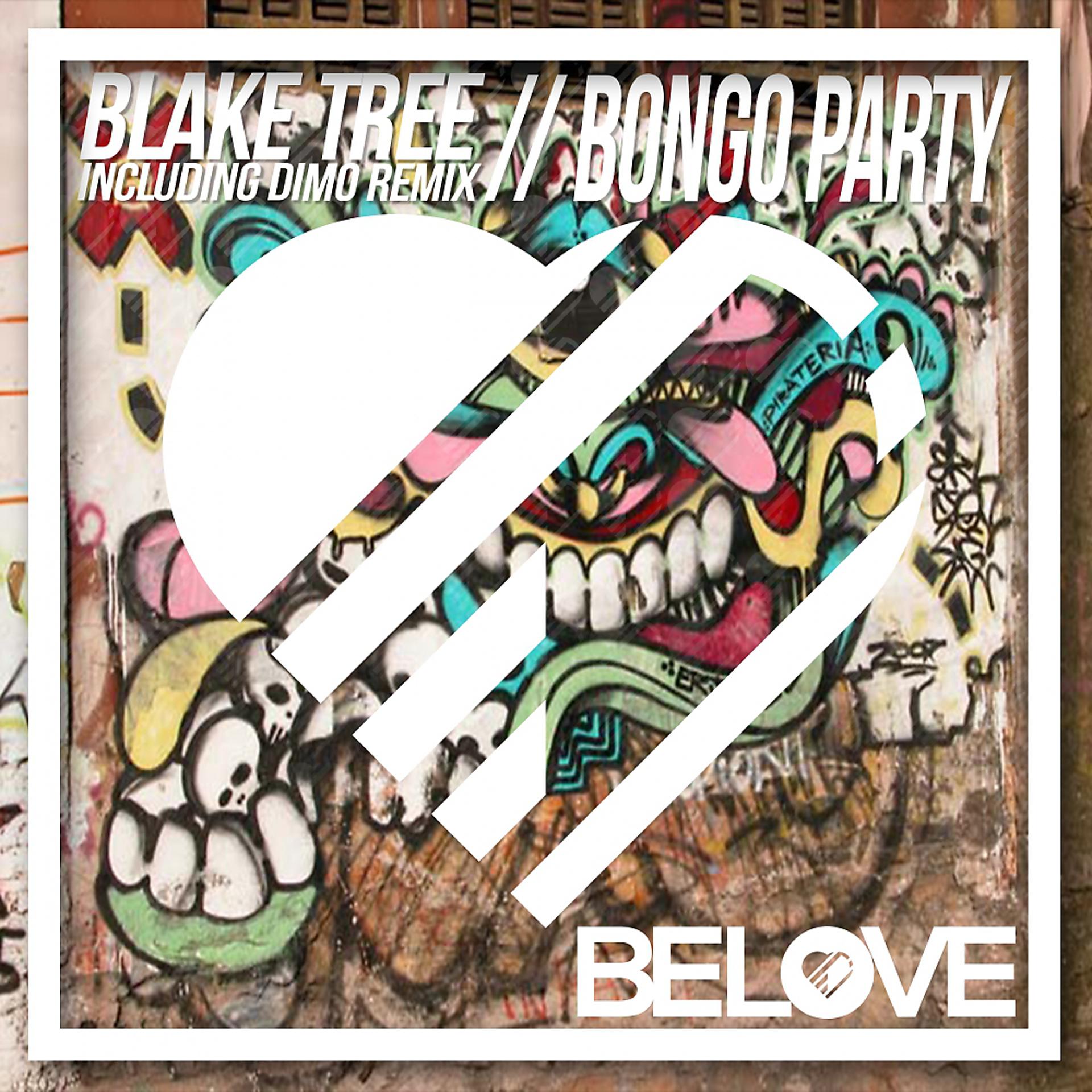 Постер альбома Bongo Party