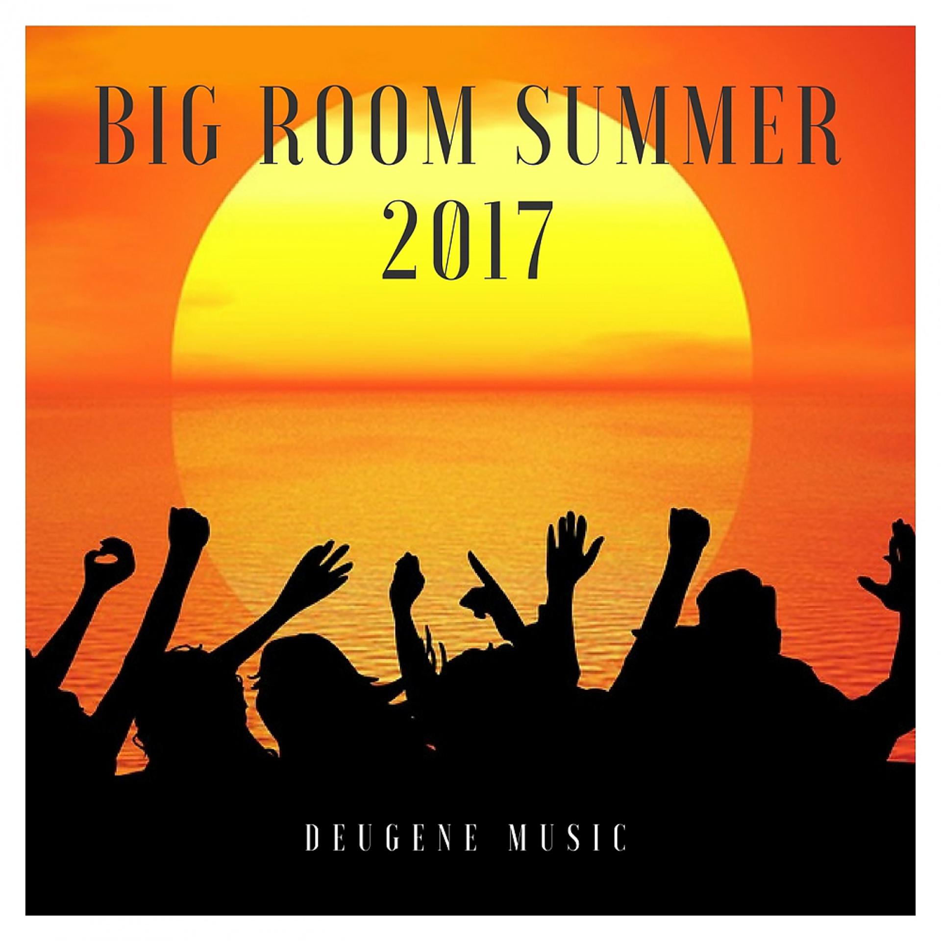 Постер альбома Big Room Summer 2017