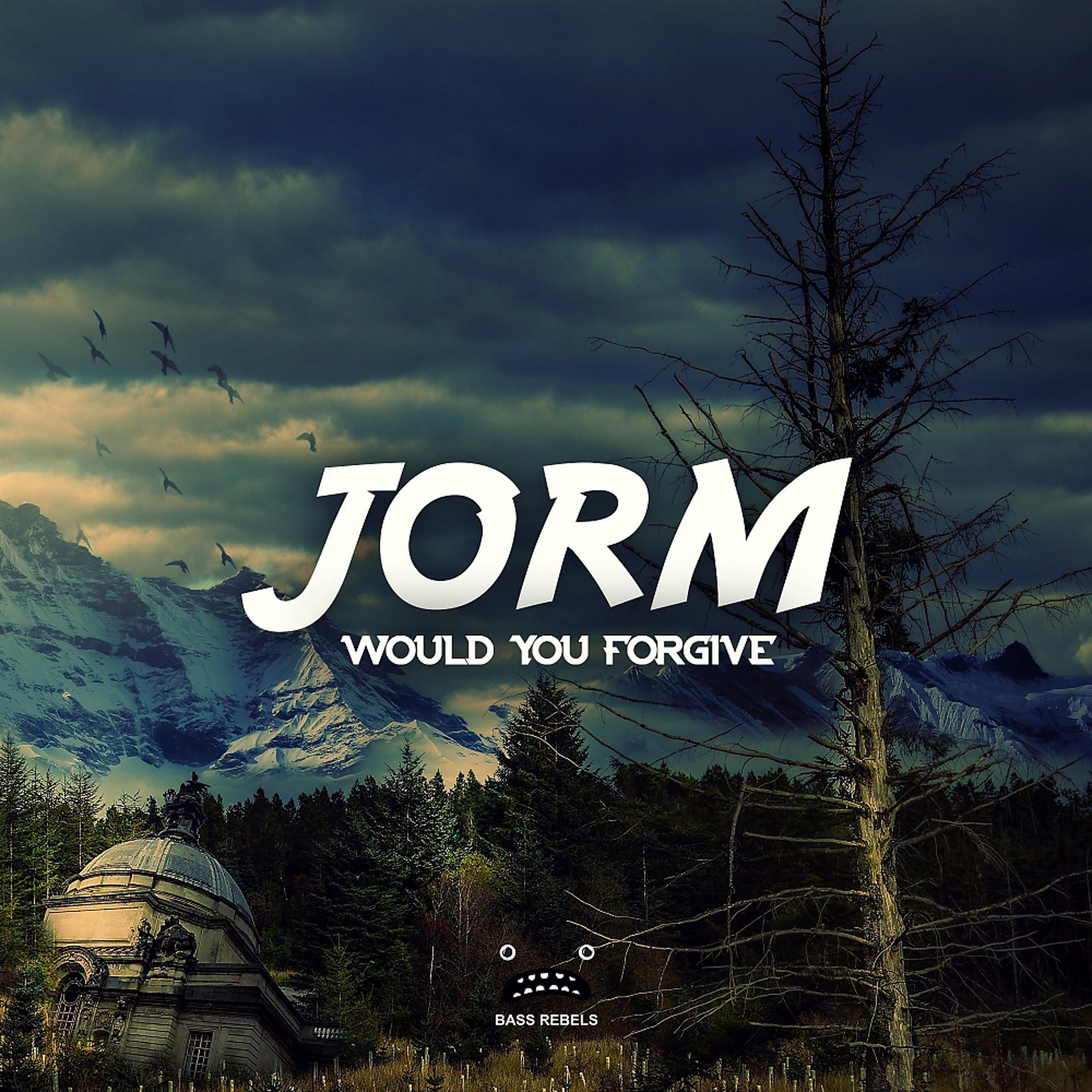 Постер альбома Would You Forgive