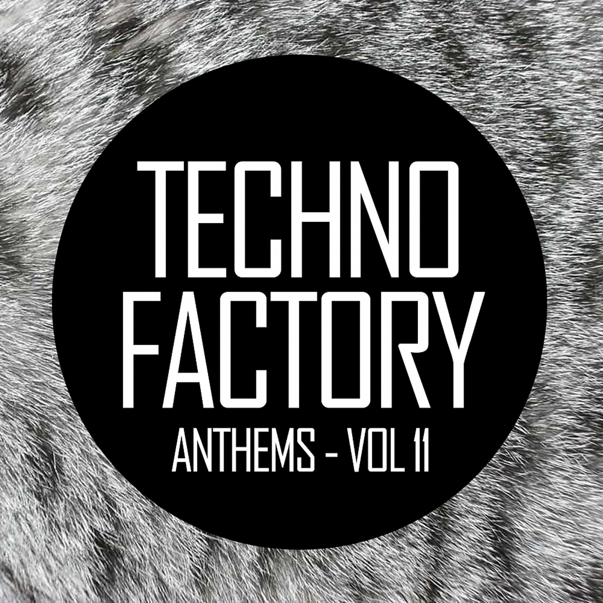 Постер альбома Techno Factory Anthems, Vol.11