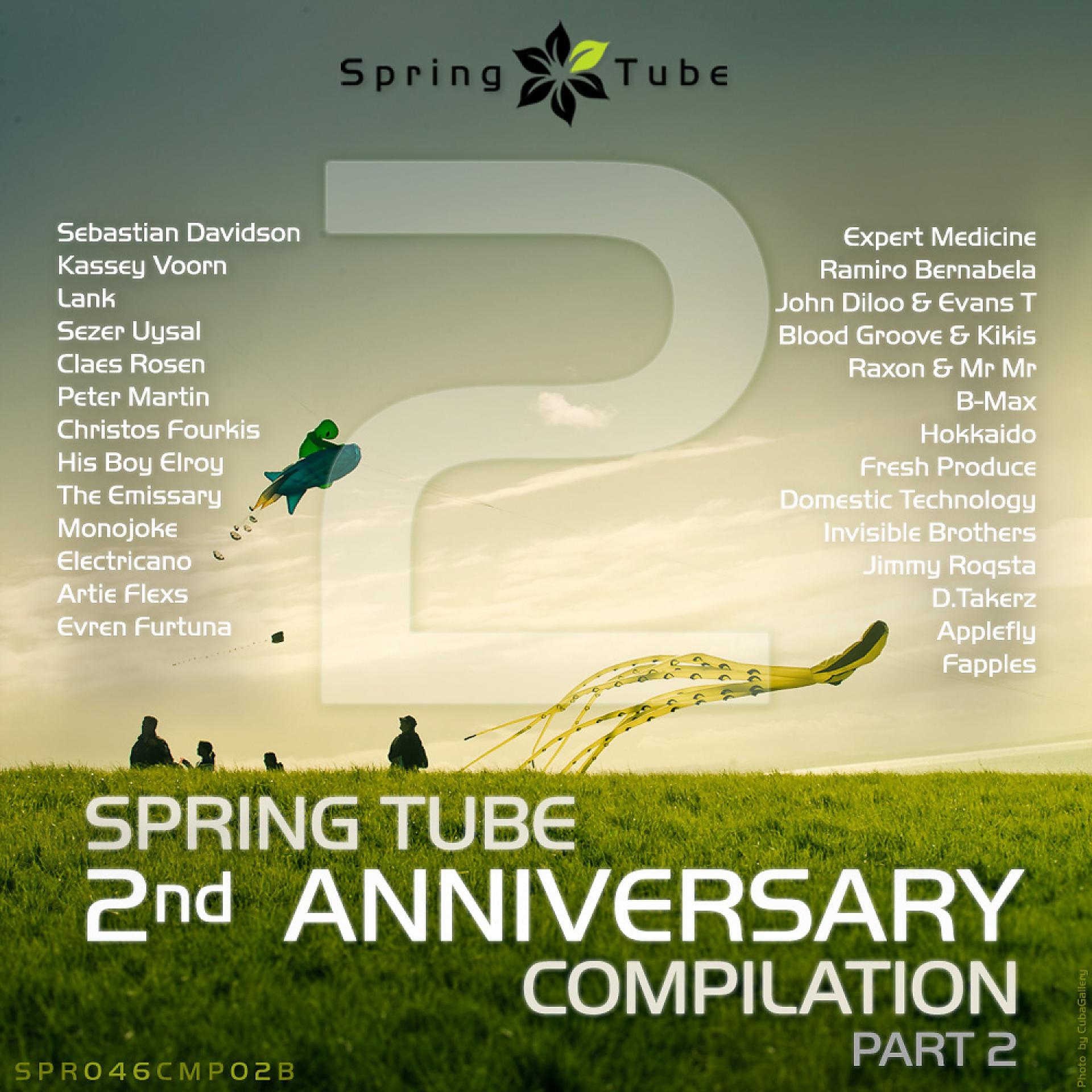 Постер альбома Spring Tube 2nd Anniversary Compilation. Part 2