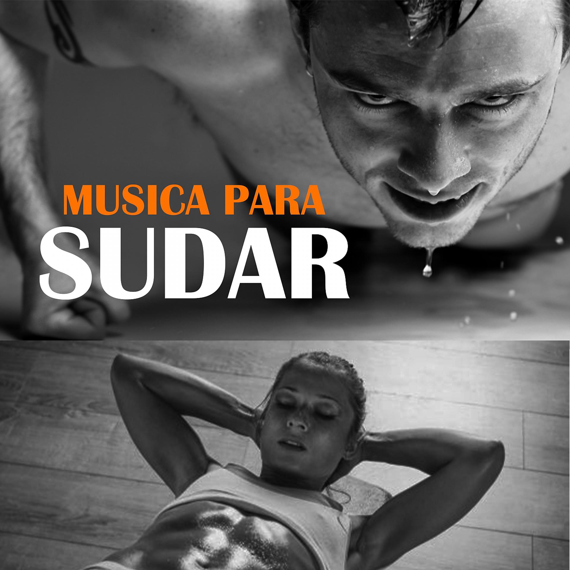 Постер альбома Musica para Sudar