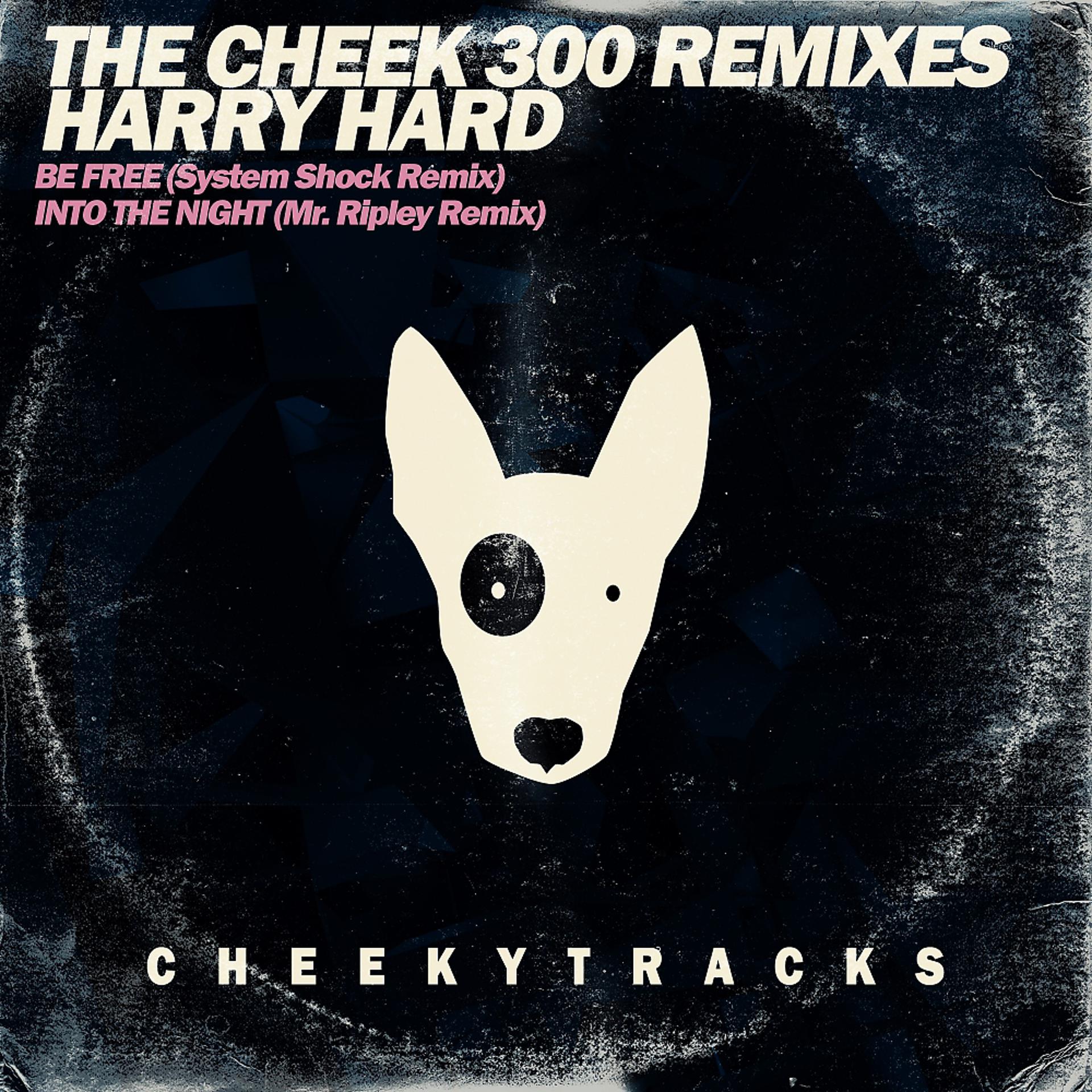 Постер альбома The Cheek300 Mixes