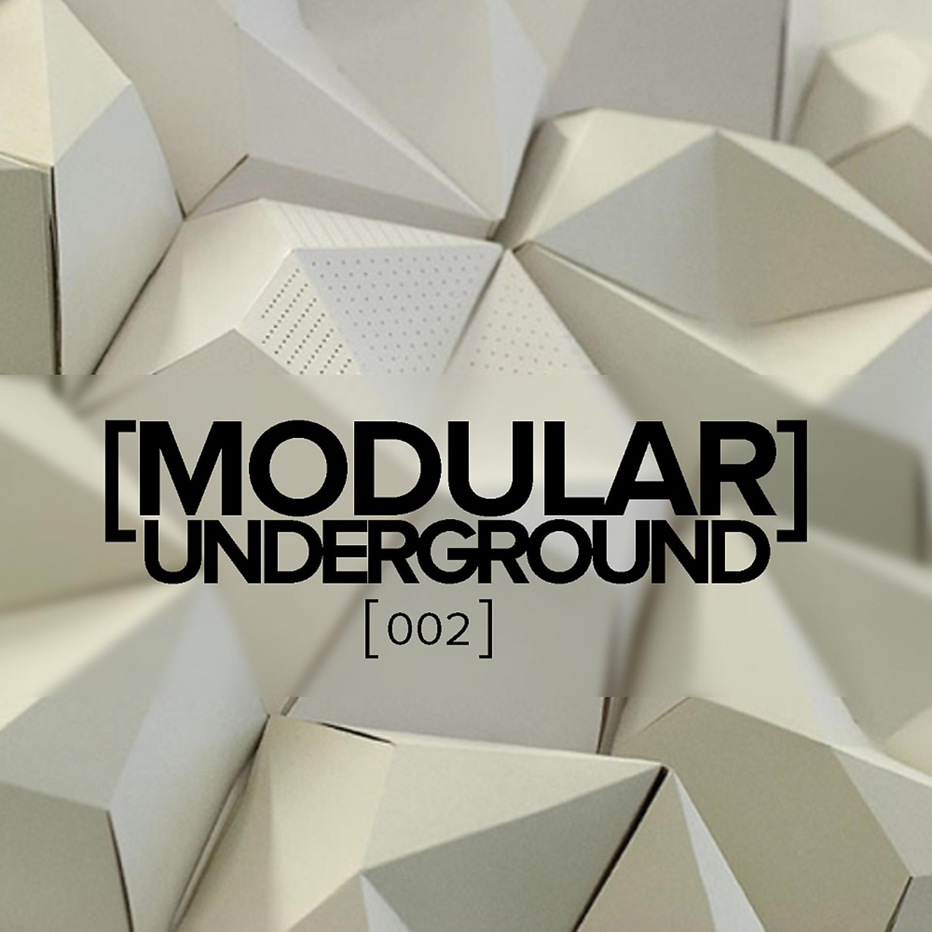 Постер альбома Modular Underground, 002