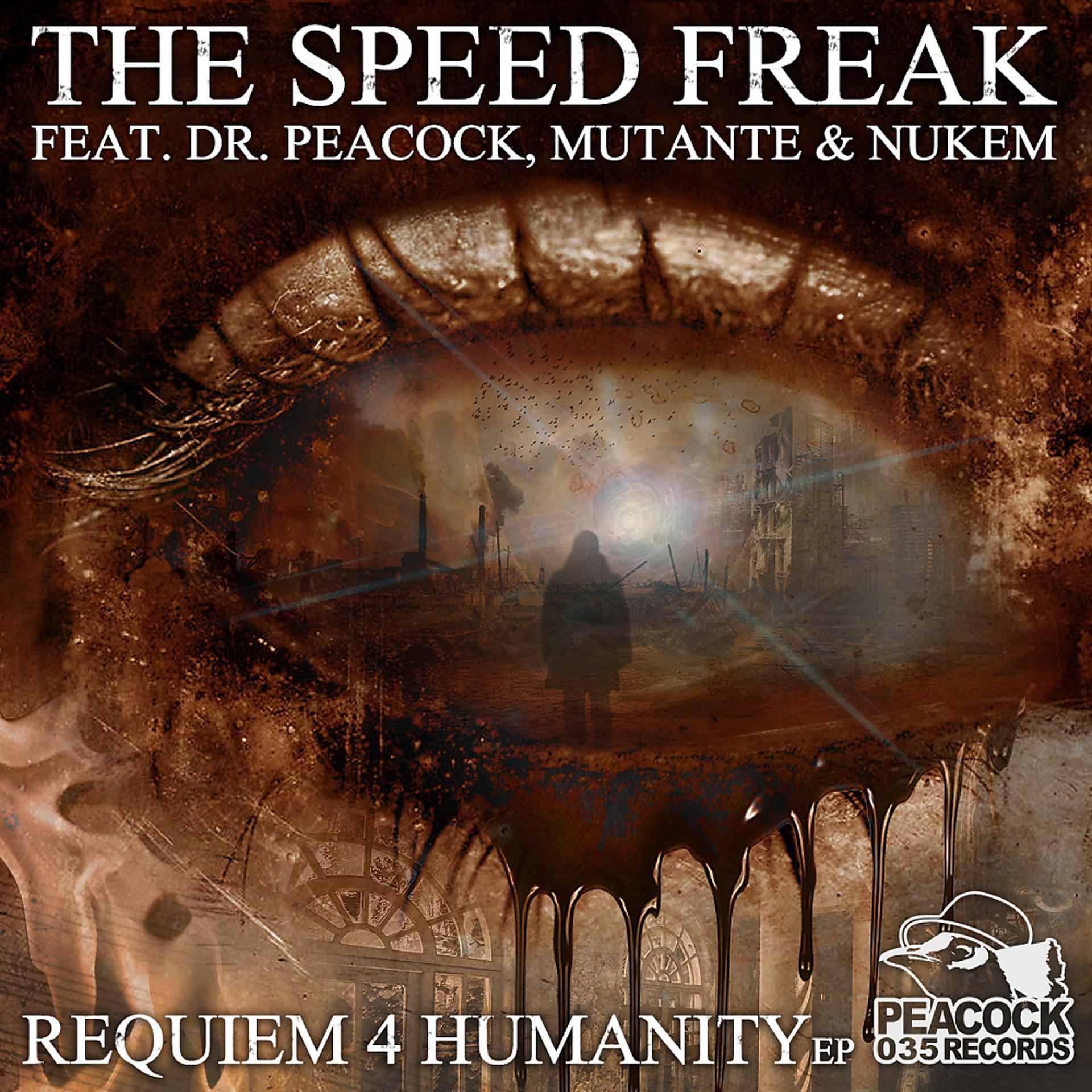 Постер альбома Requiem 4 Humanity