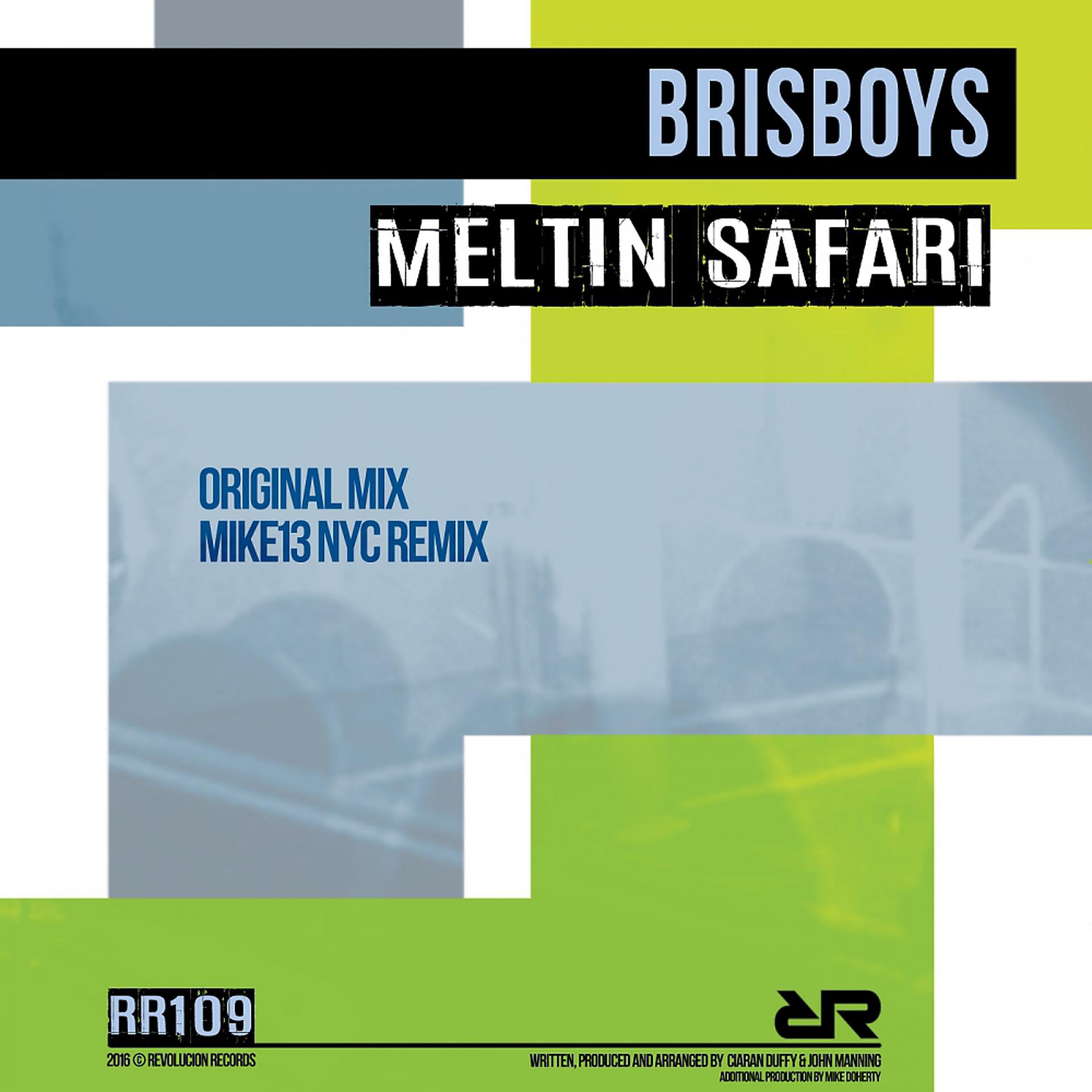 Постер альбома Meltin Safari
