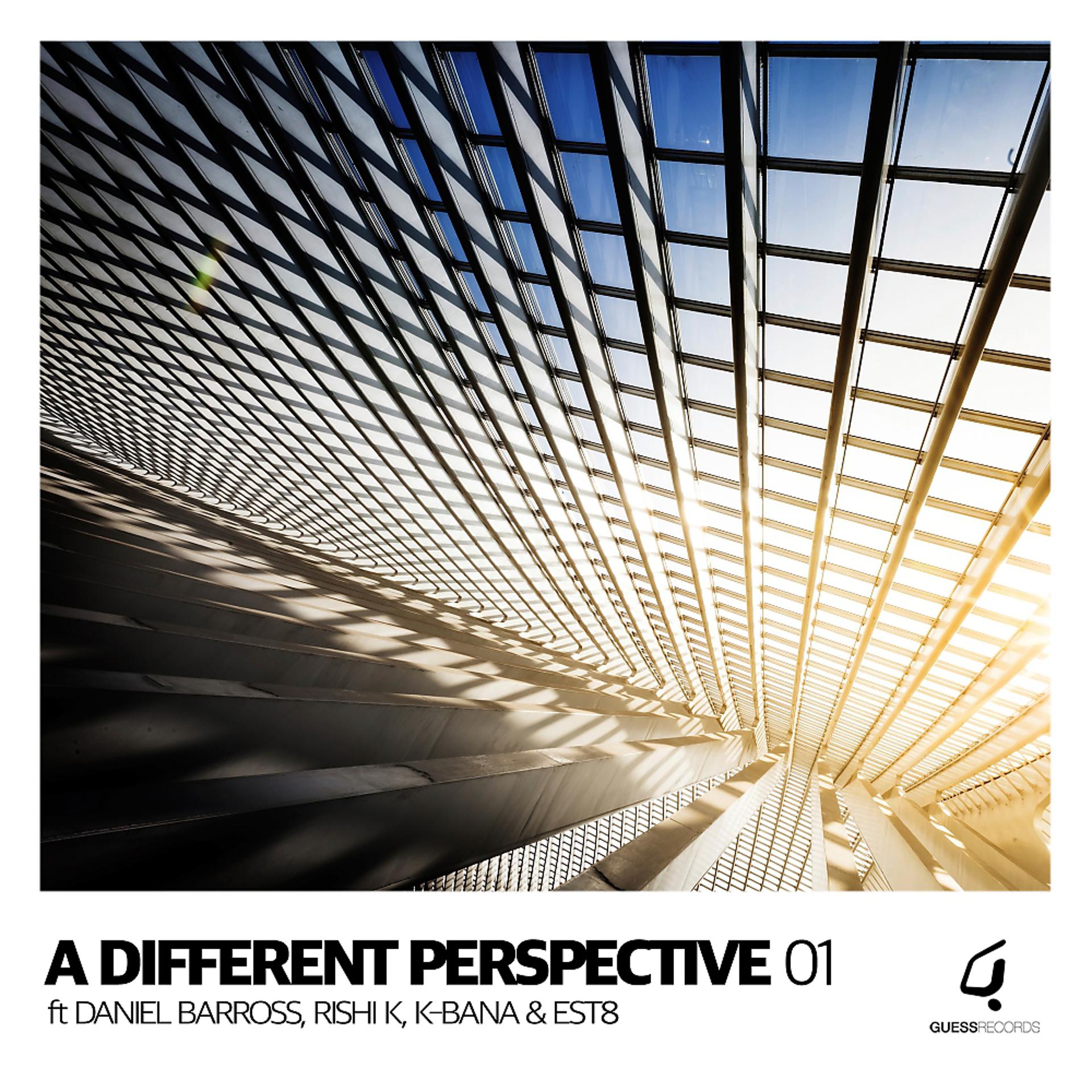 Постер альбома A Different Perspective 01