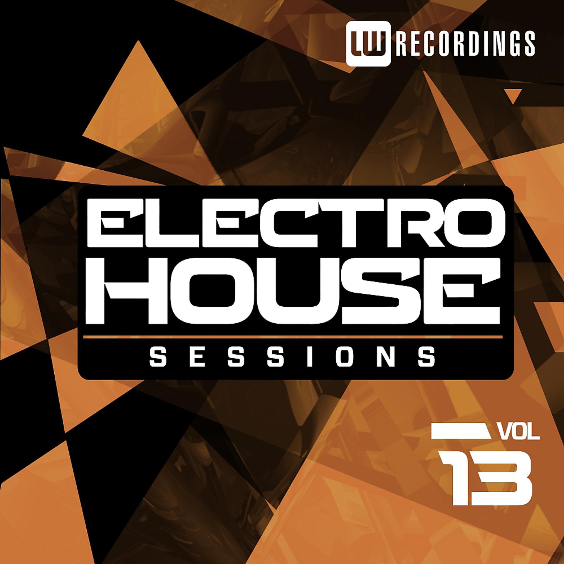 Постер альбома Electro House Sessions, Vol. 13