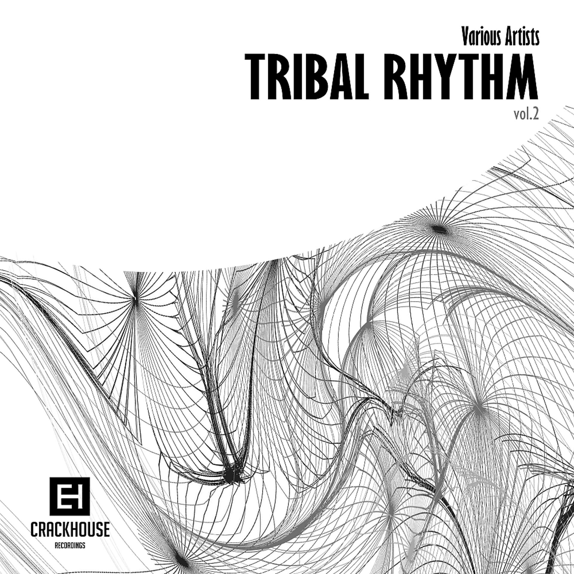 Постер альбома Tribal Rhythm, Vol.2
