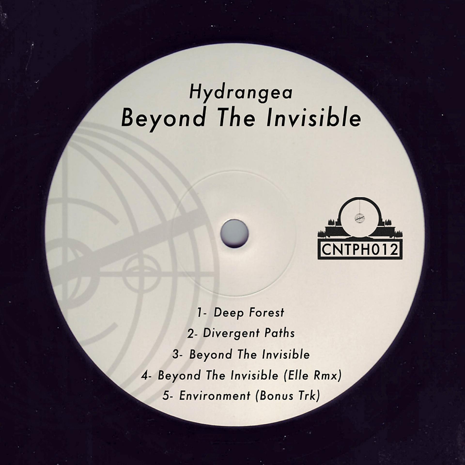 Постер альбома Beyond The Inviible