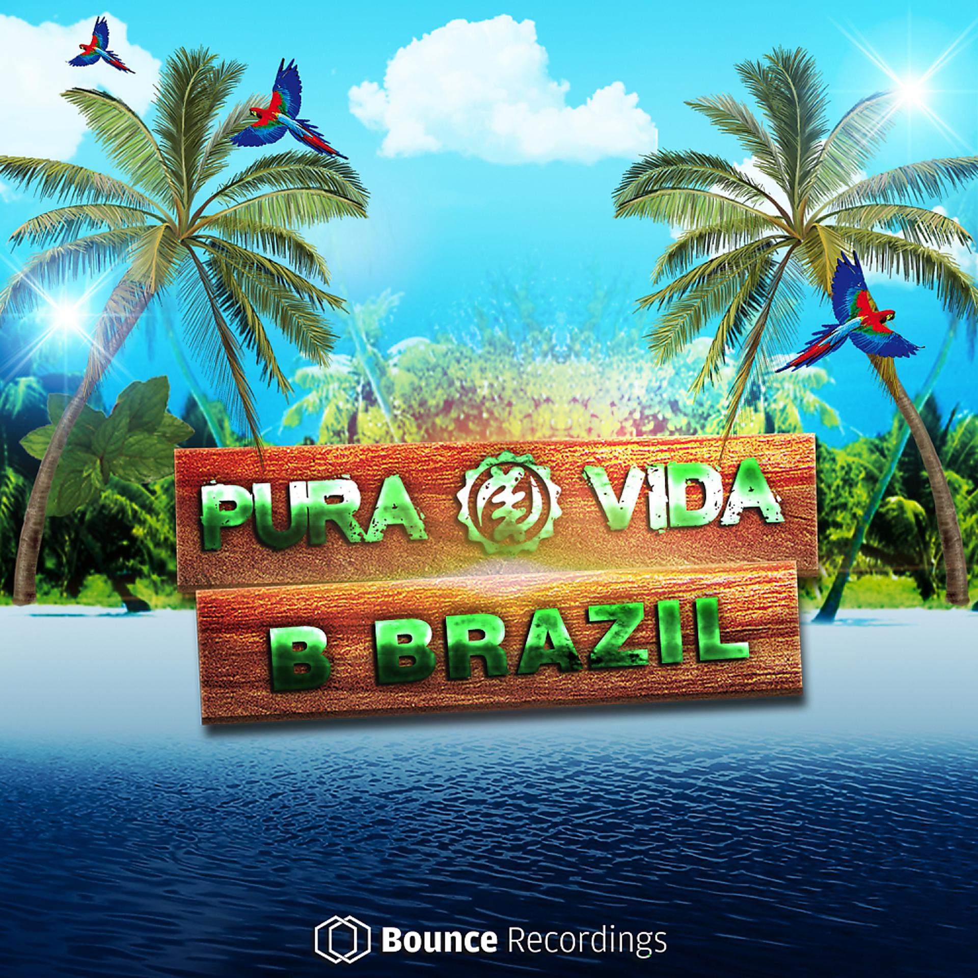 Постер альбома B Brazil