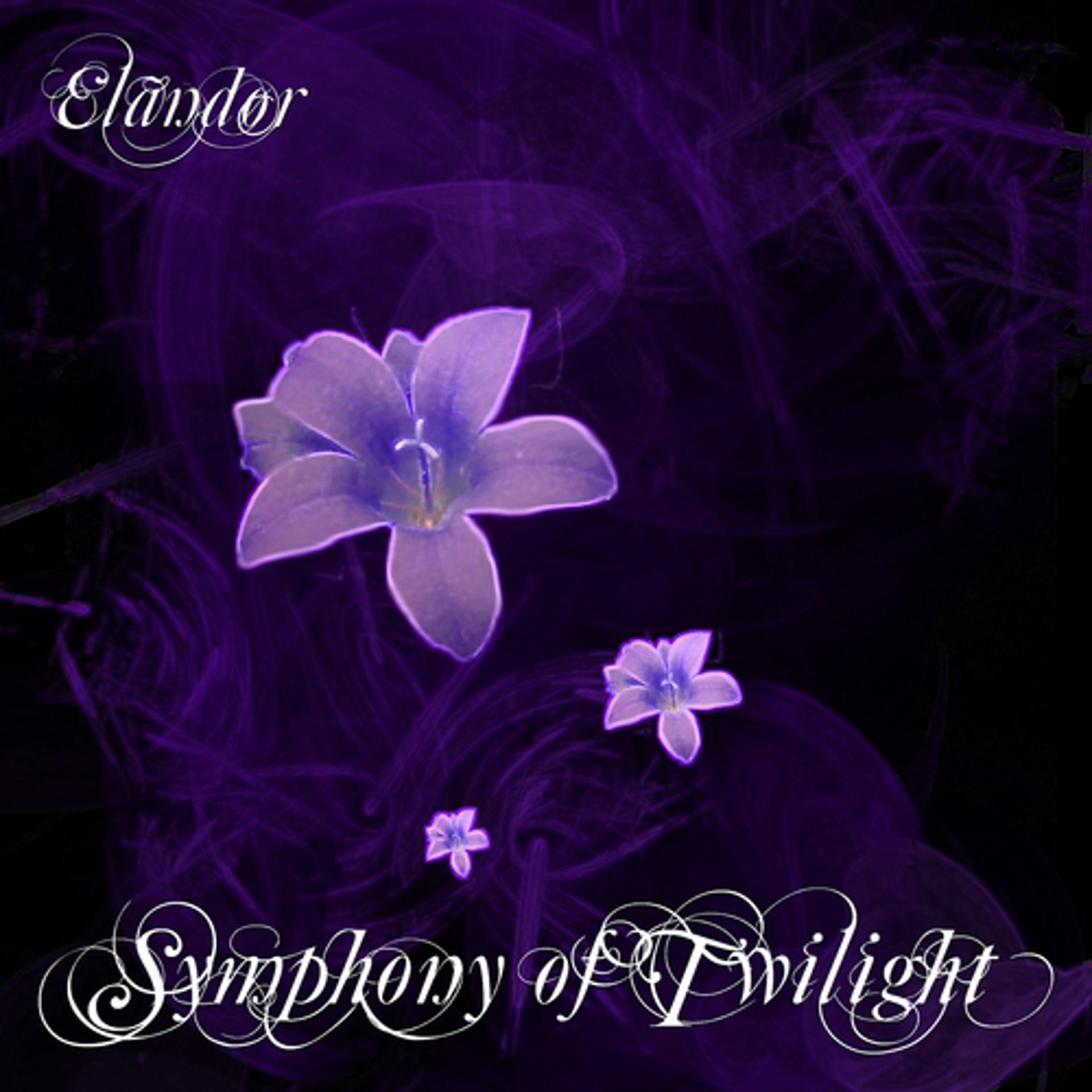 Постер альбома Symphony of Twilight