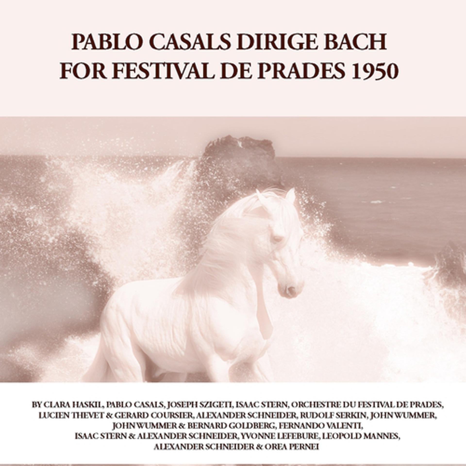 Постер альбома Pablo Casals Dirige Bach: For Festival de Prades 1950