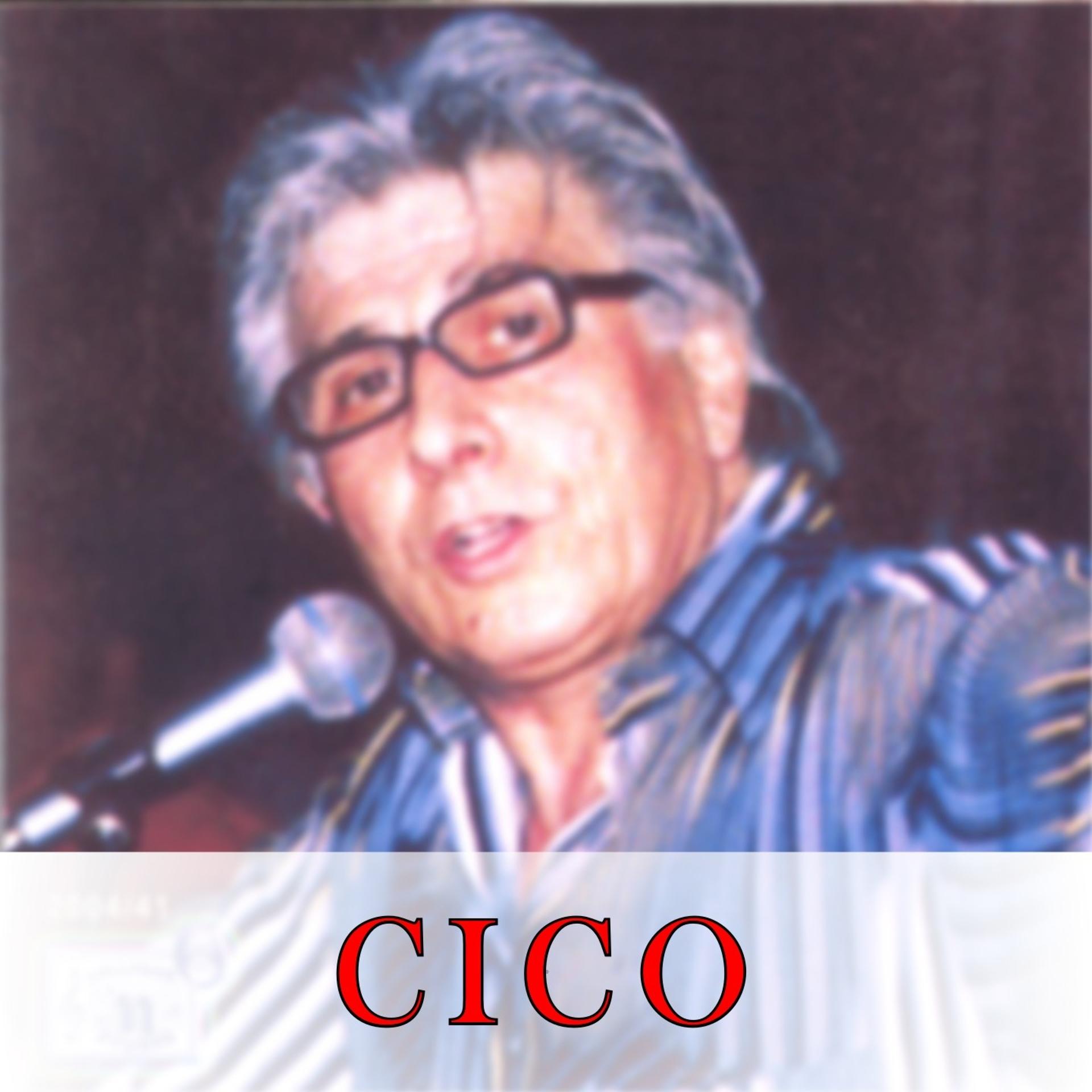 Постер альбома Cico