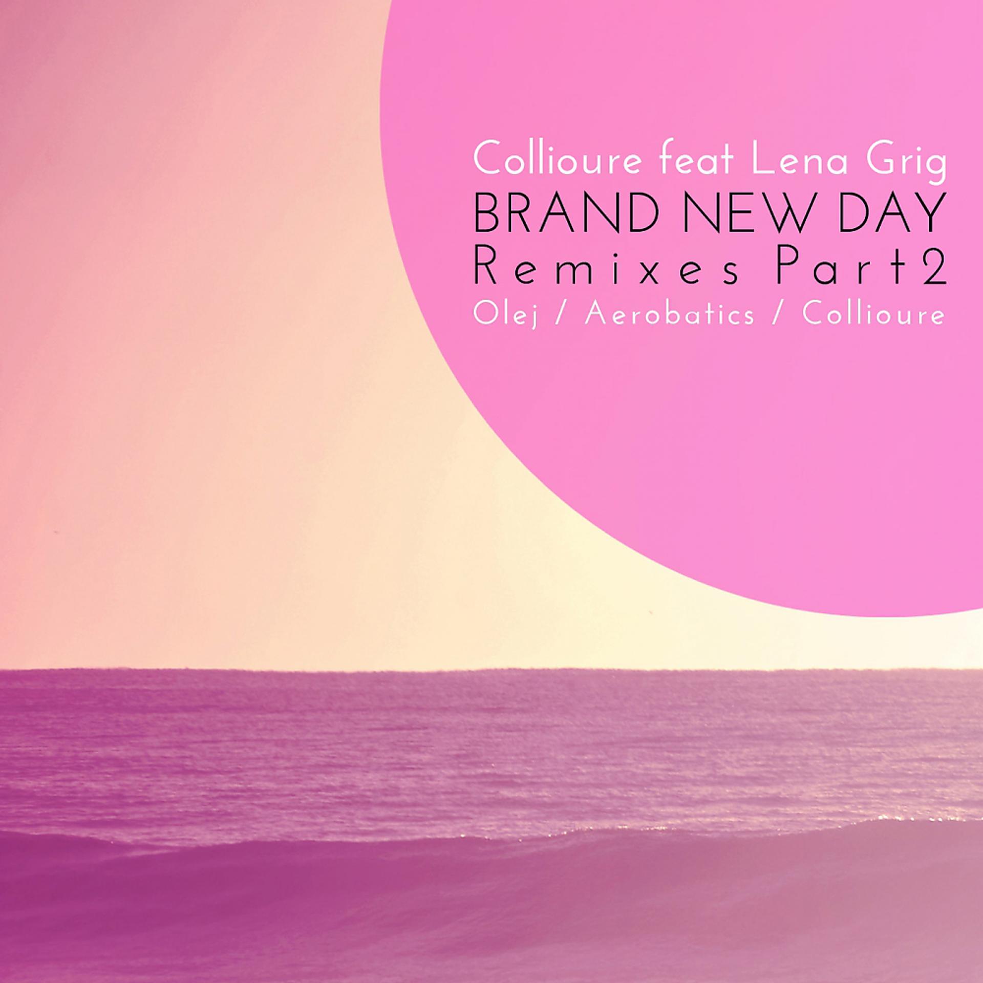 Постер альбома Brand New Day Remixes, Pt. 2