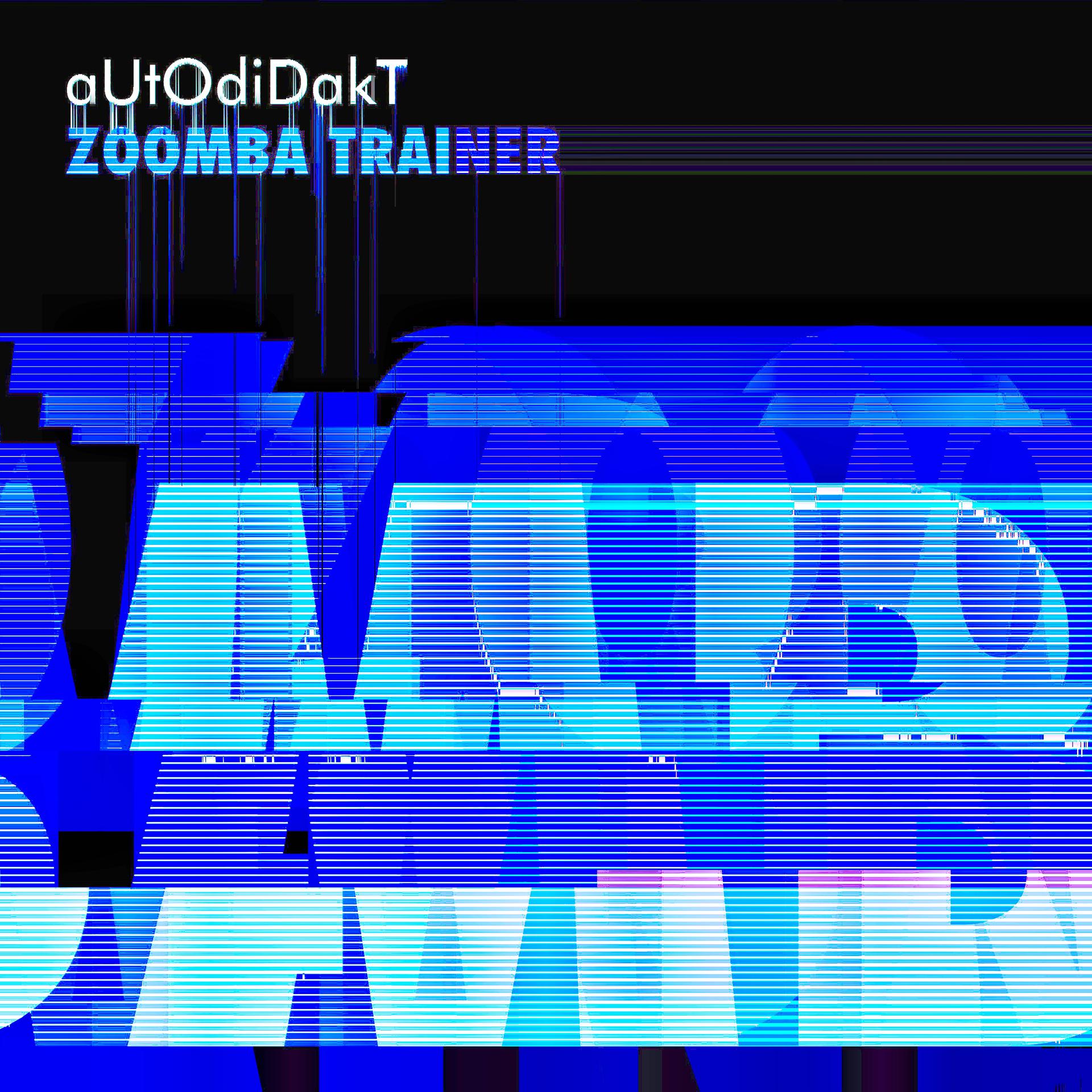 Постер альбома Zoomba Trainer
