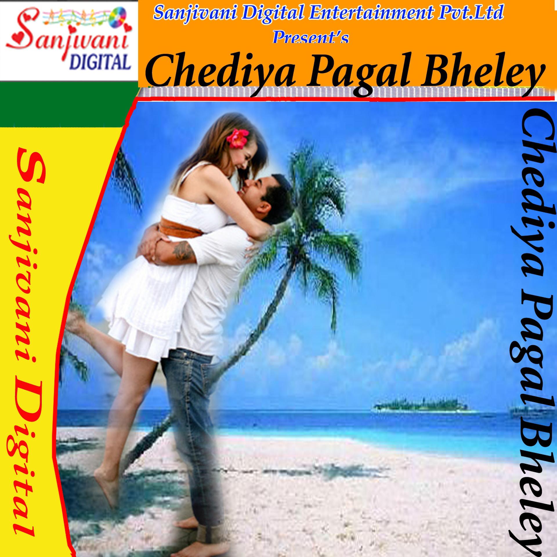 Постер альбома Chediya Pagal Bheley