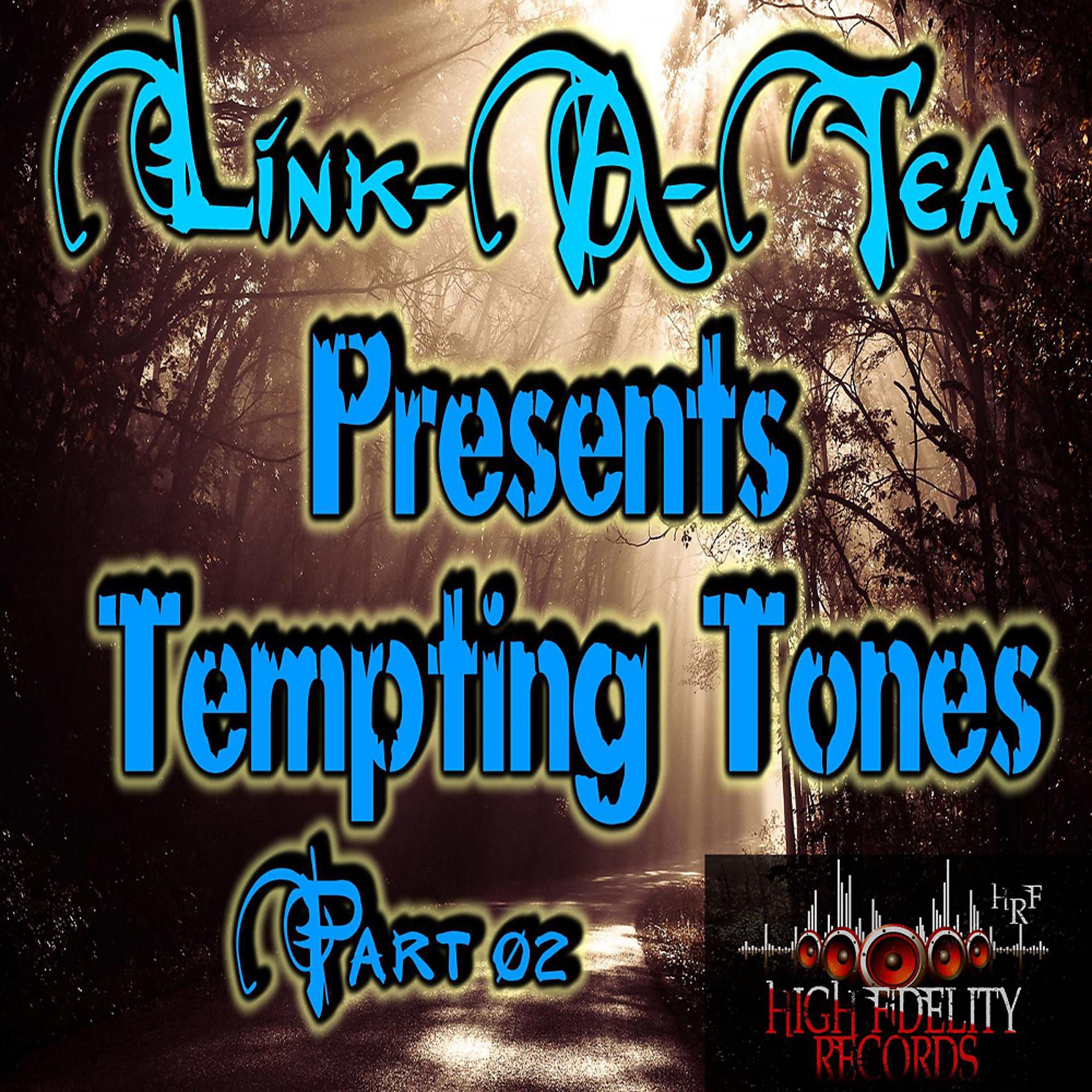 Постер альбома Tempting Tones, Pt. 02