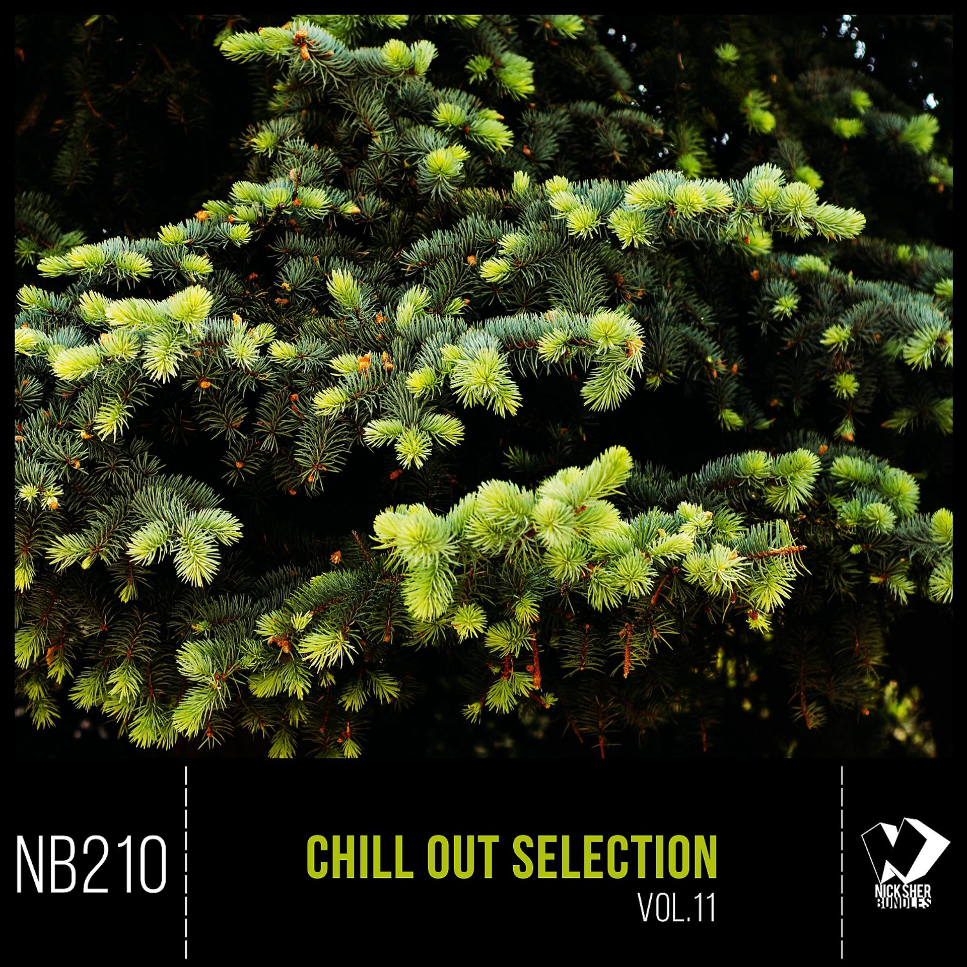 Постер альбома Chill out Selection, Vol. 11