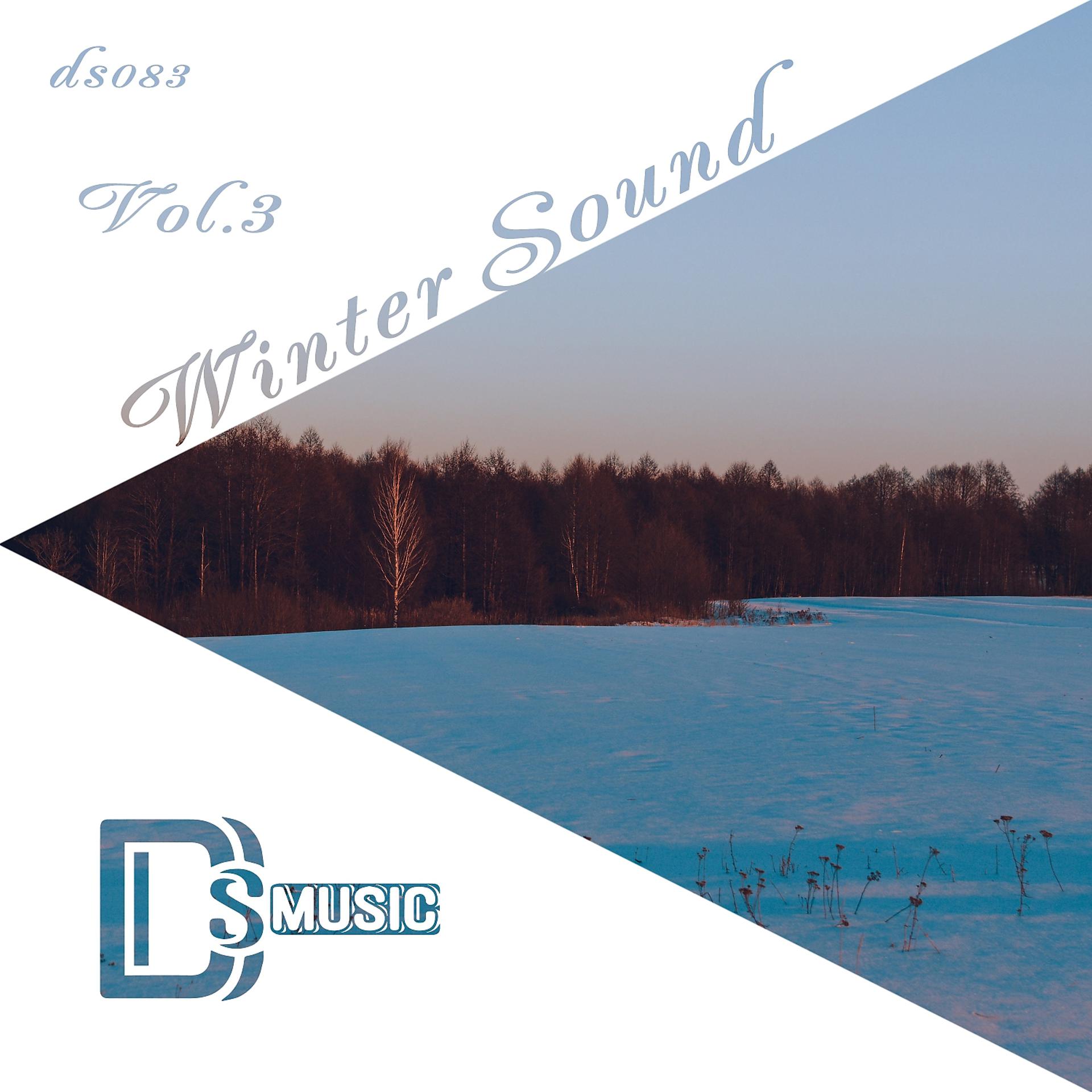 Постер альбома Winter Sound, Vol.3
