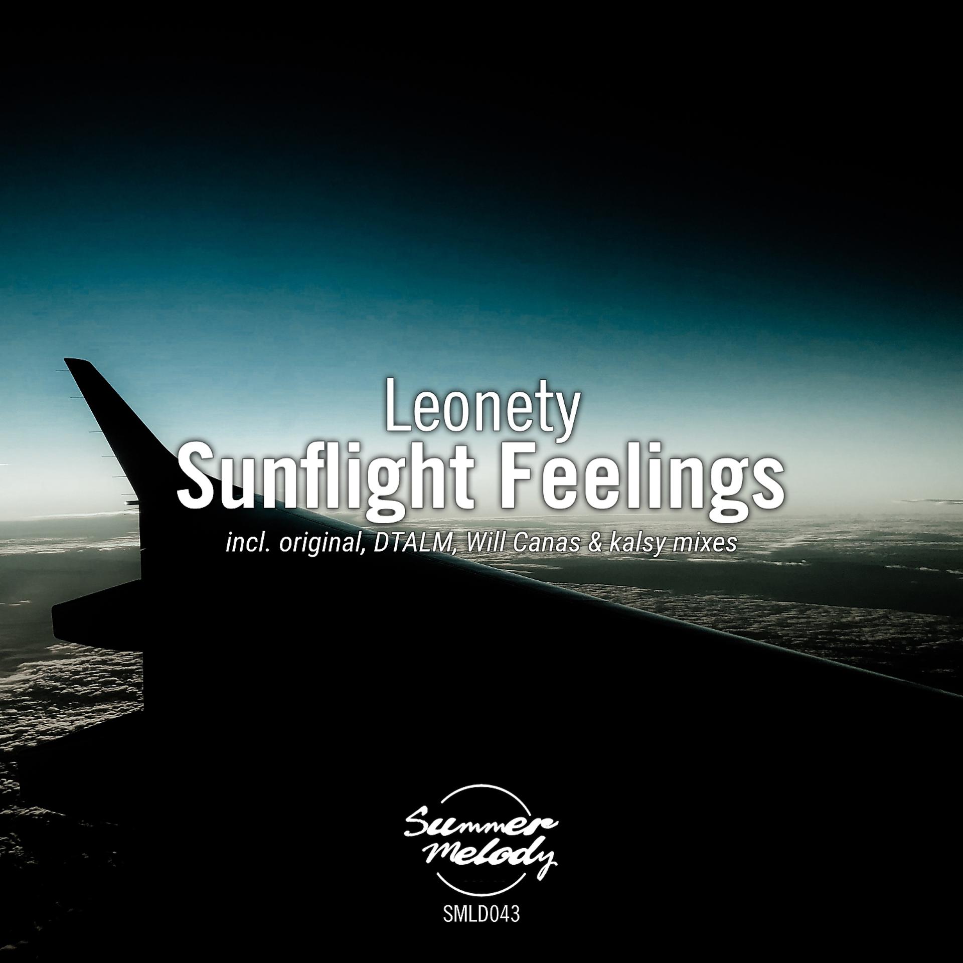 Постер альбома Sunflight Feelings