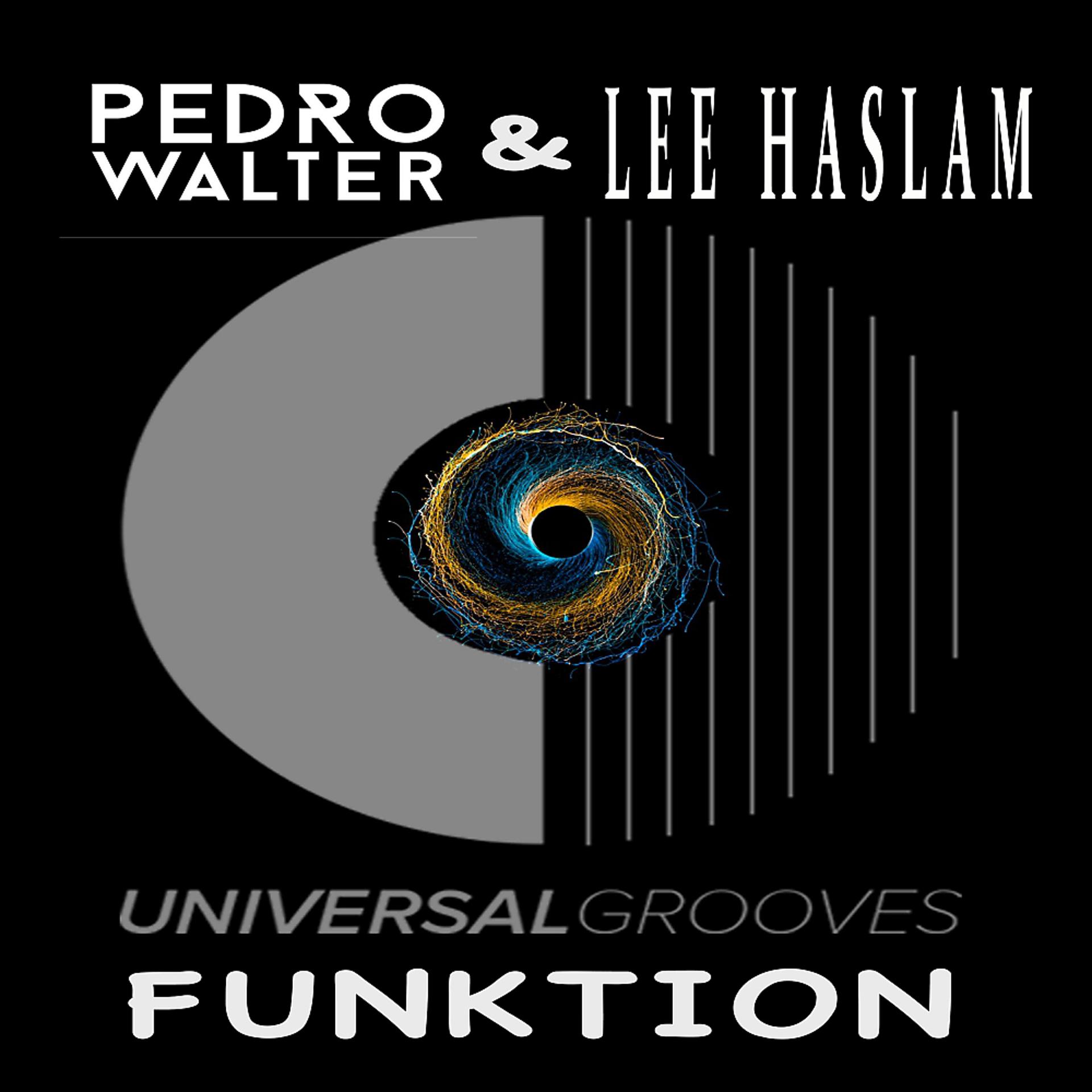 Постер альбома Funktion (Lee Haslam Tech Groove Remix)