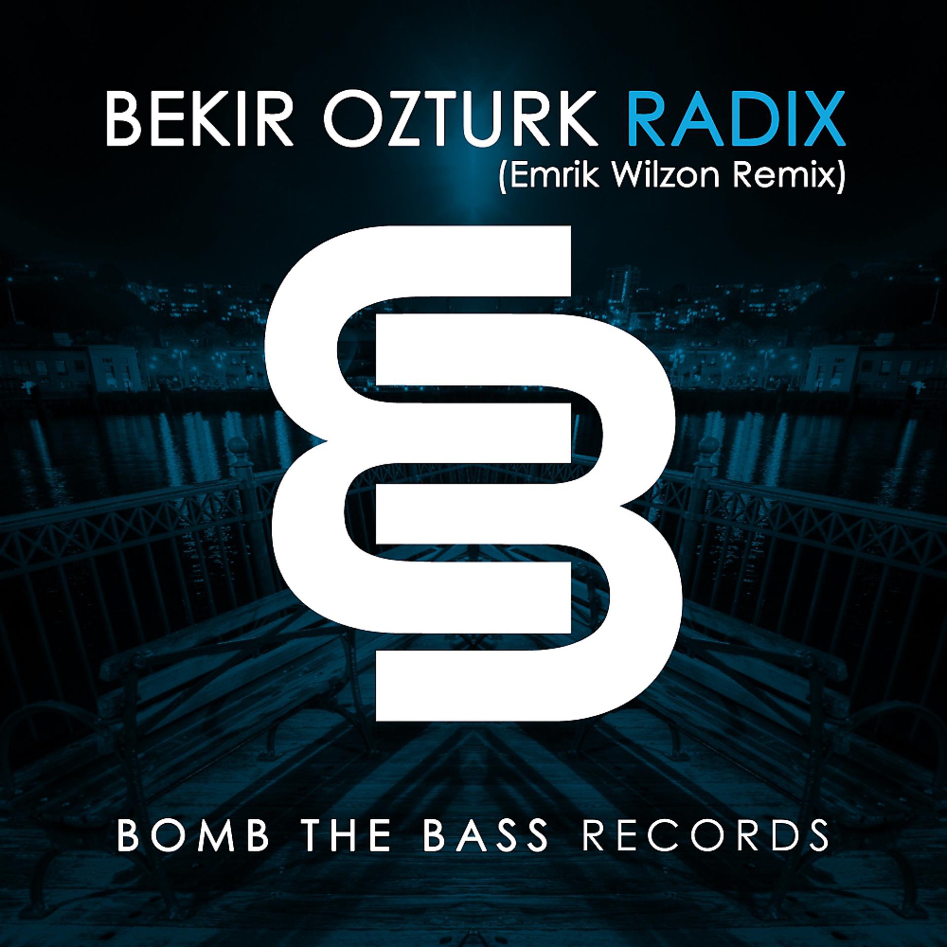 Постер альбома Radix (Emrik Wilzon Remix)