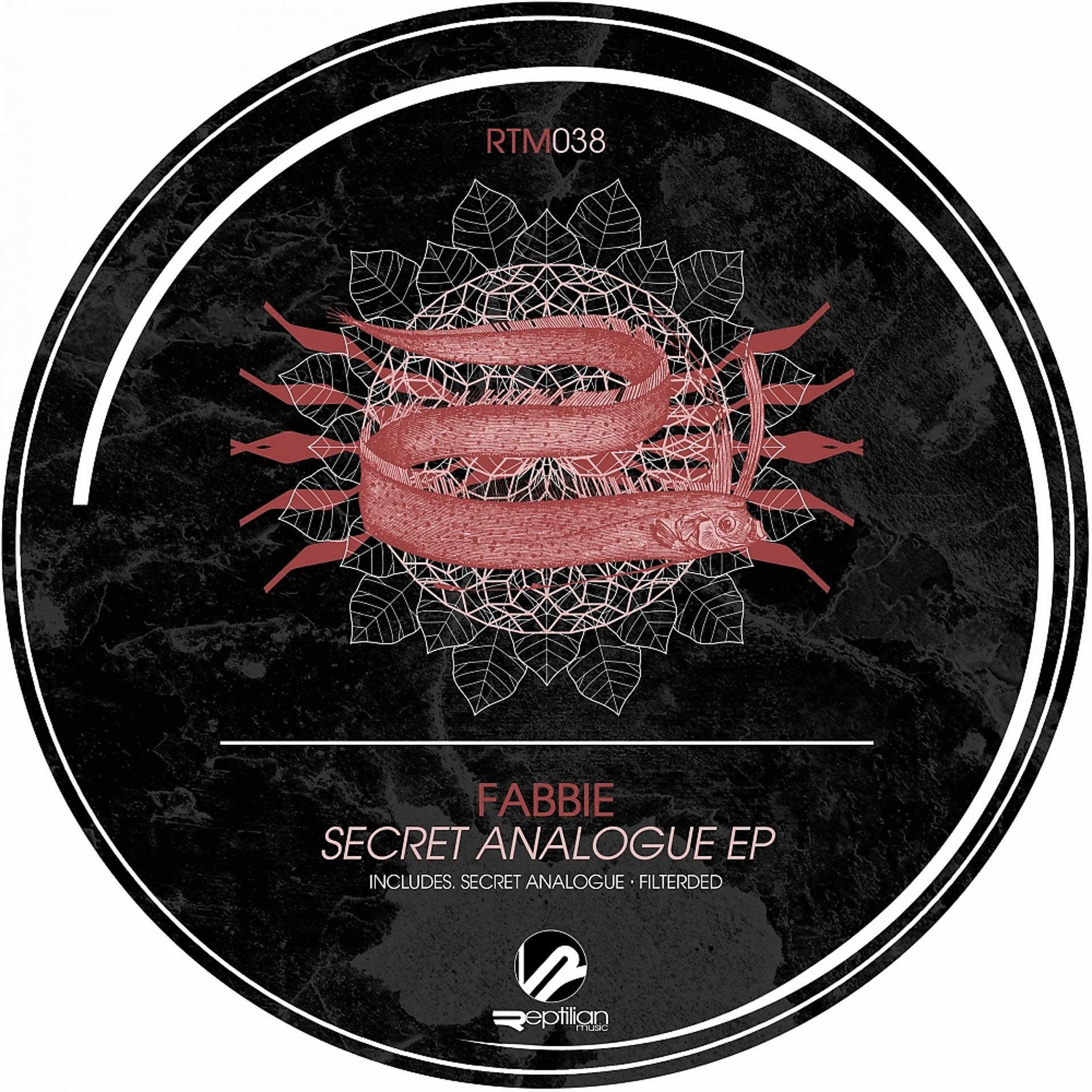 Постер альбома Secret Analogue EP