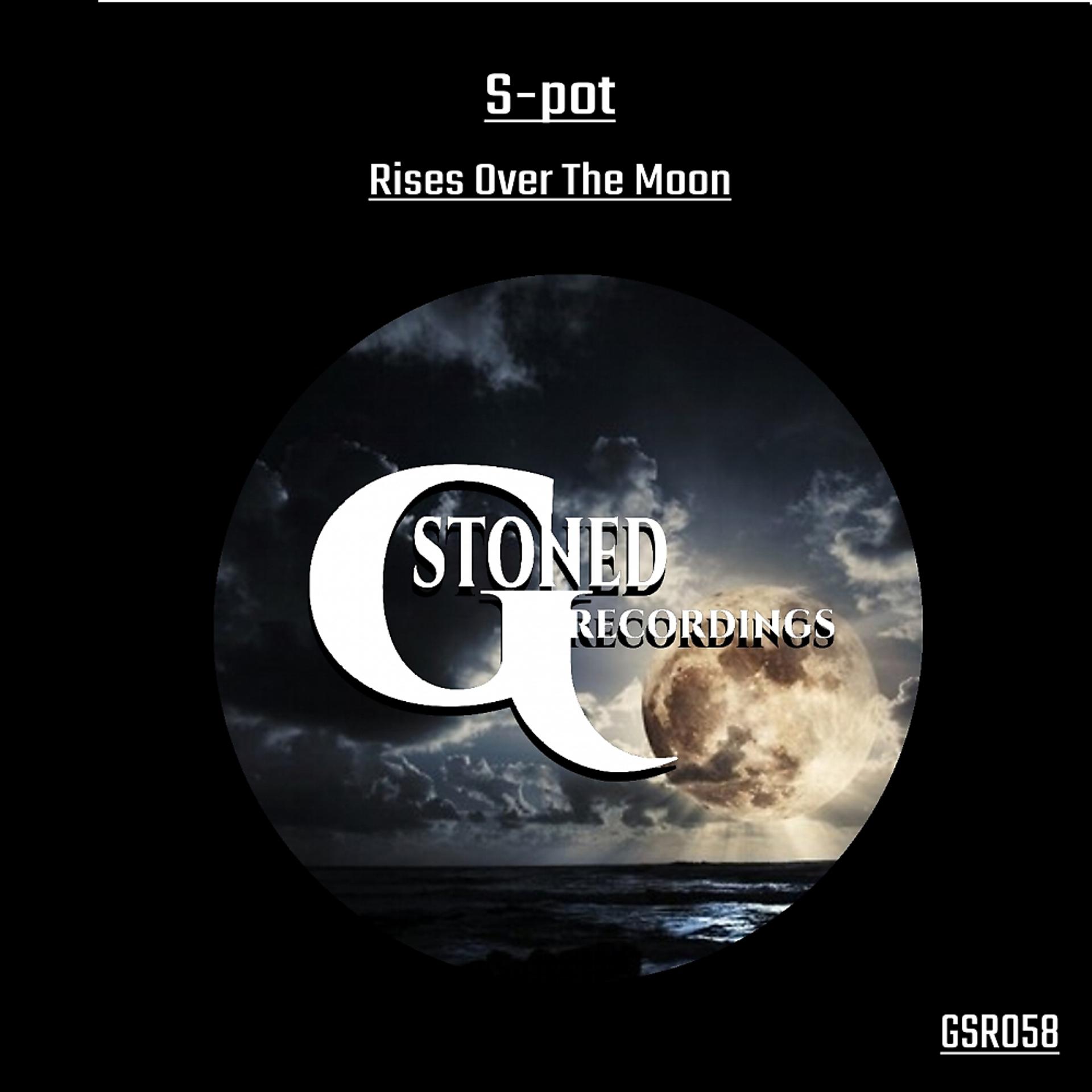 Постер альбома Rises Over The Moon