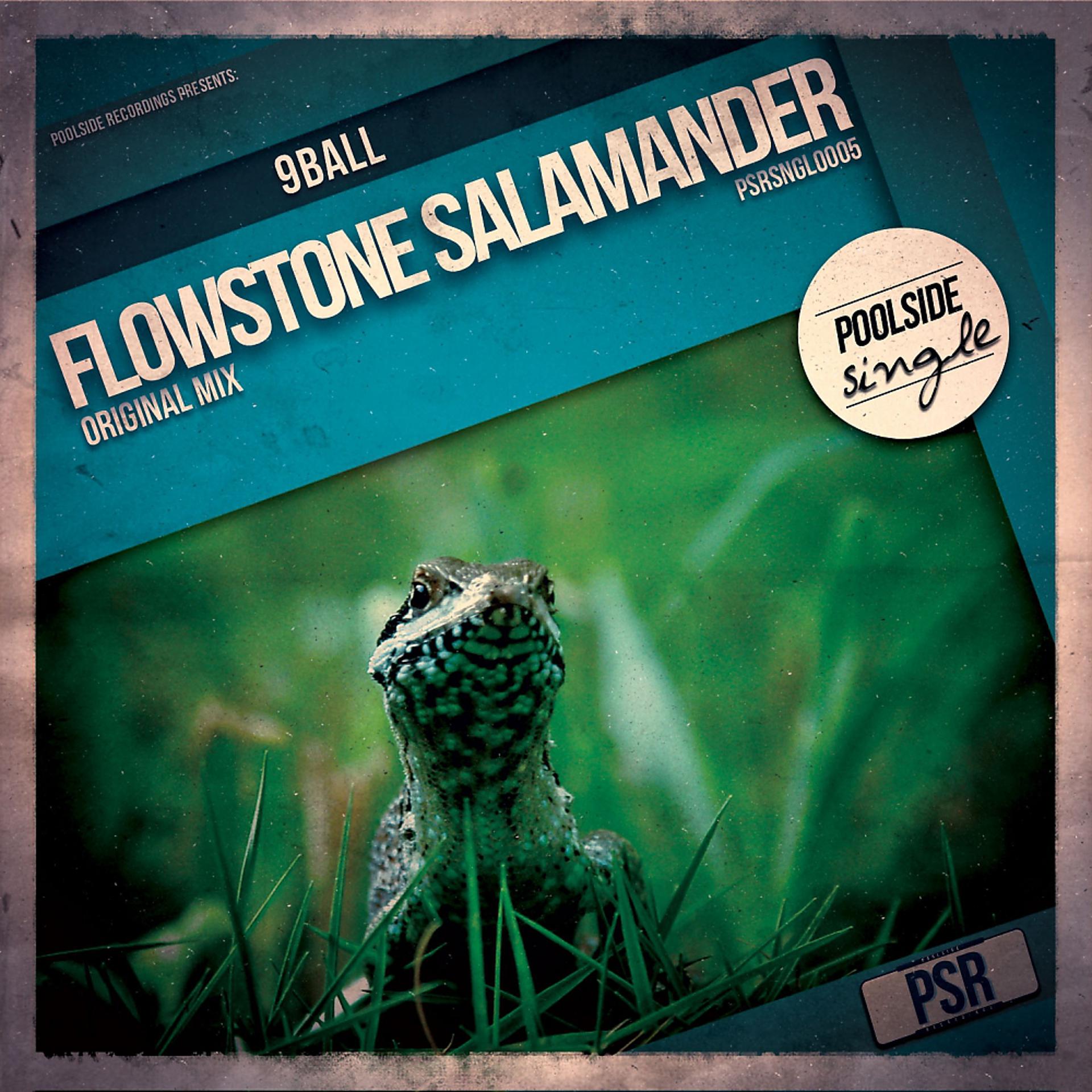 Постер альбома Flowstone Salamander (Original Mix)