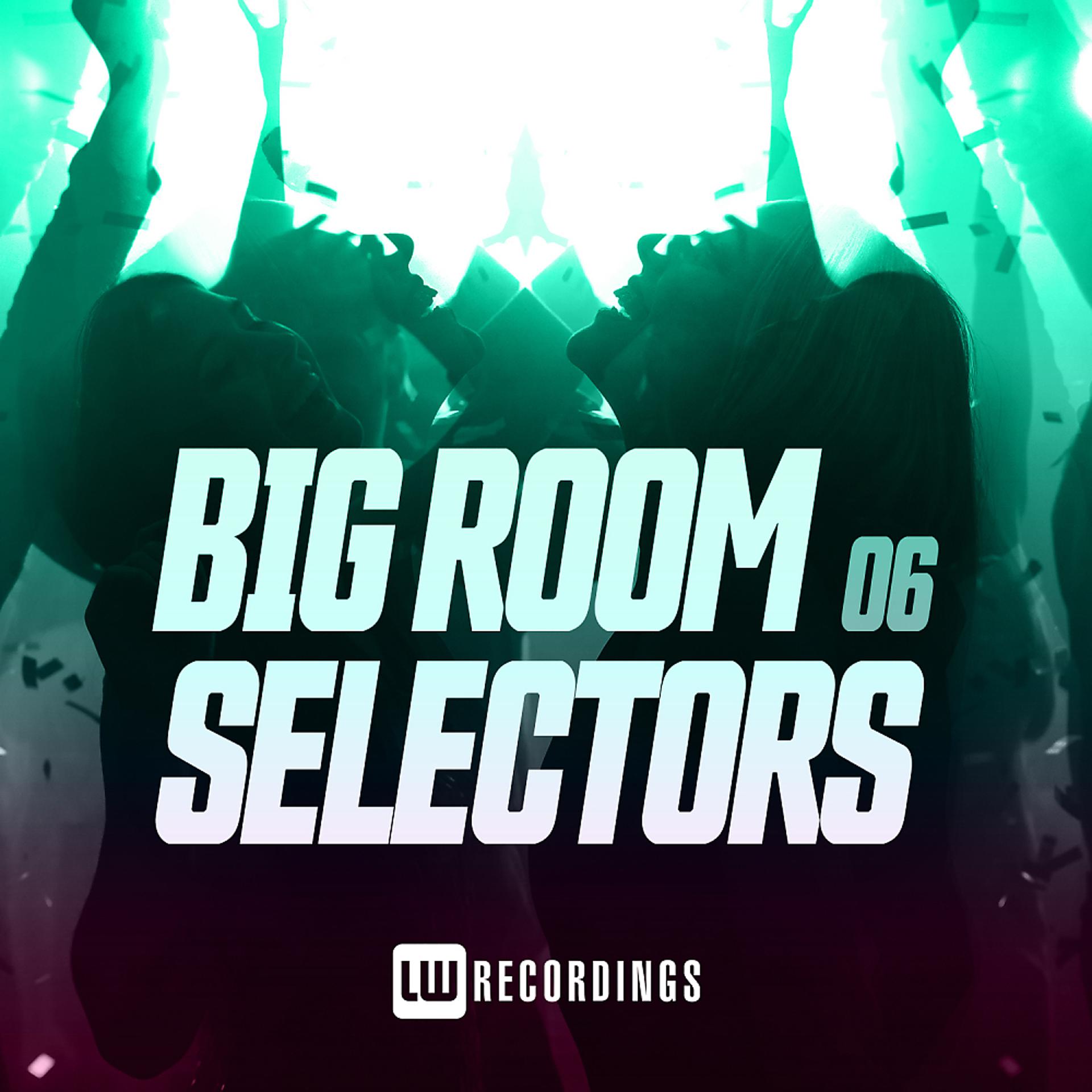 Постер альбома Big Room Selectors, 06