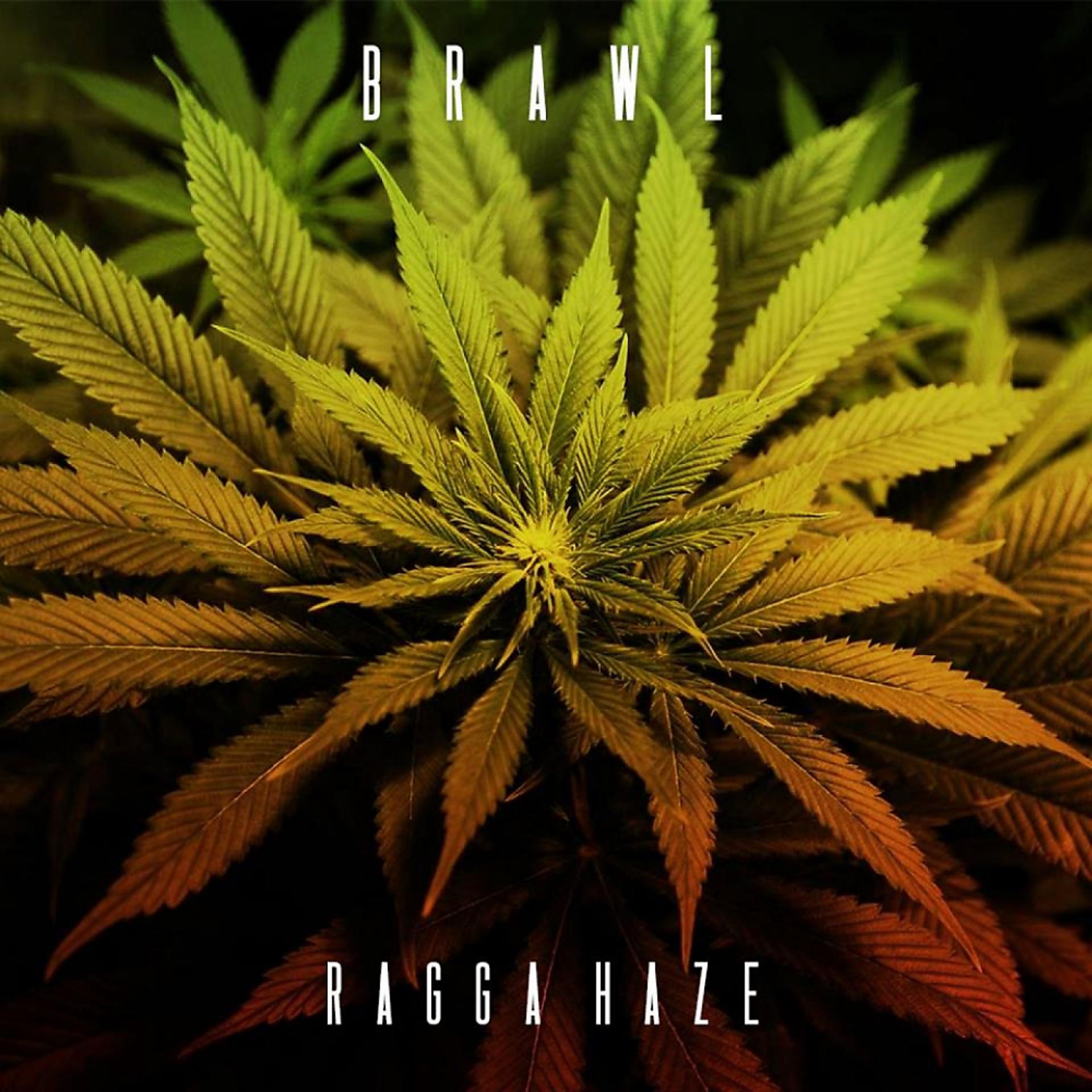 Постер альбома Ragga Haze