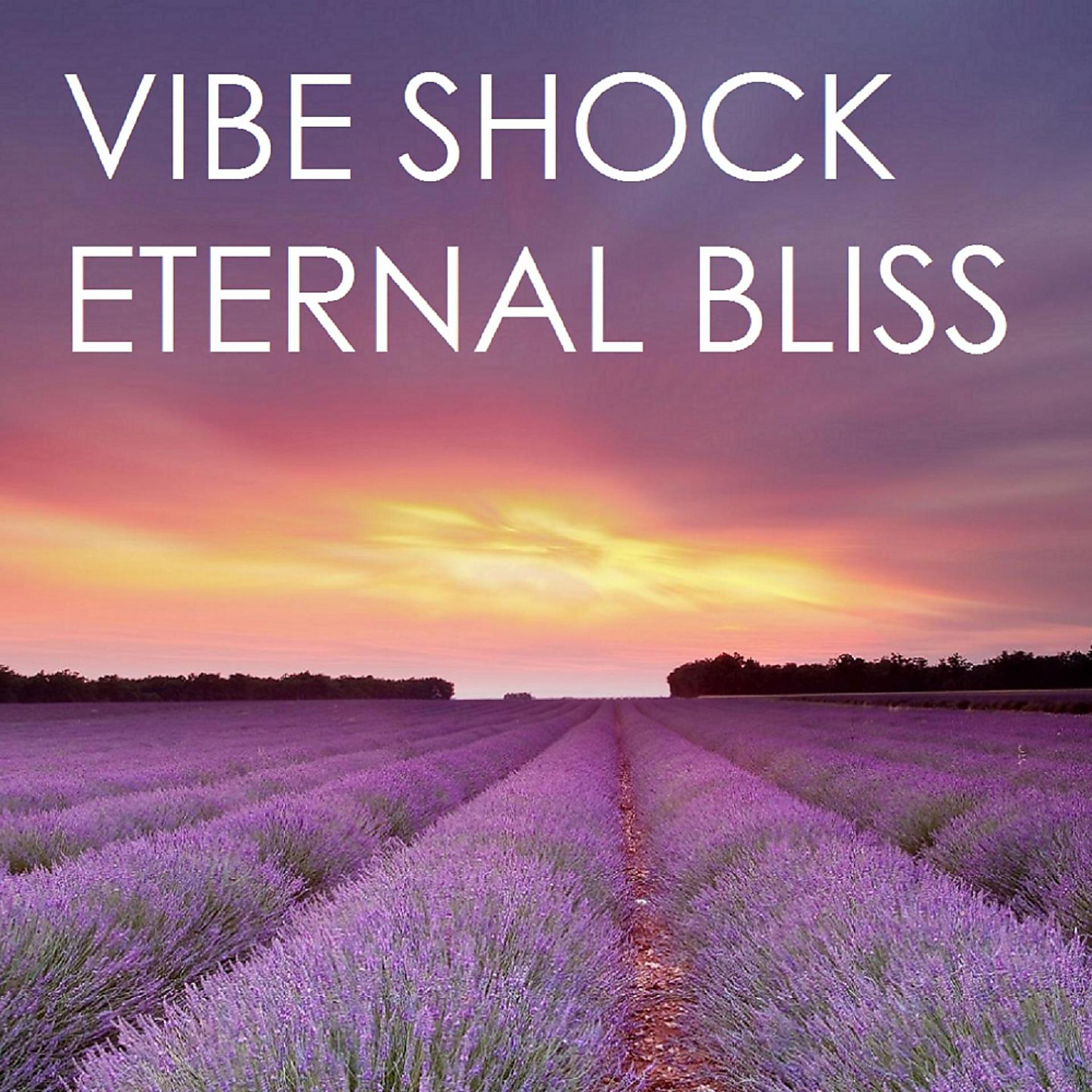 Постер альбома Eternal Bliss