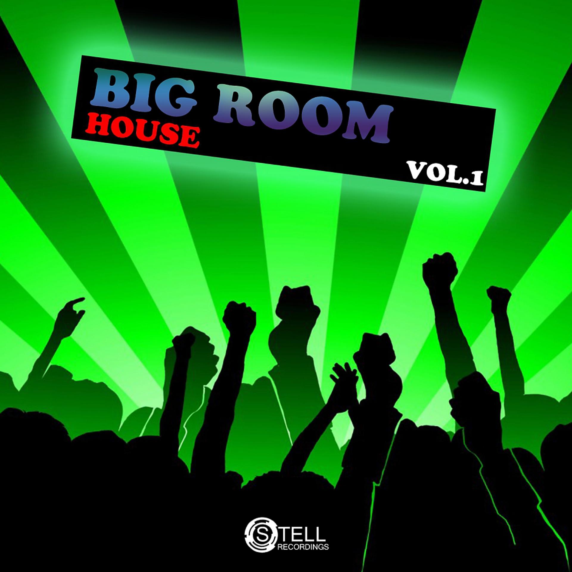 Постер альбома Big Room House, Vol. 1