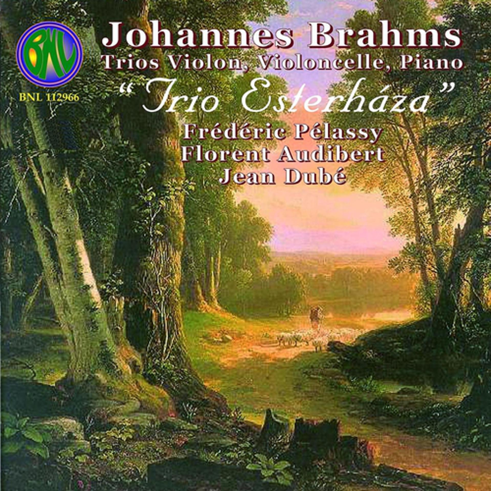 Постер альбома Brahms: Intégrale des trios