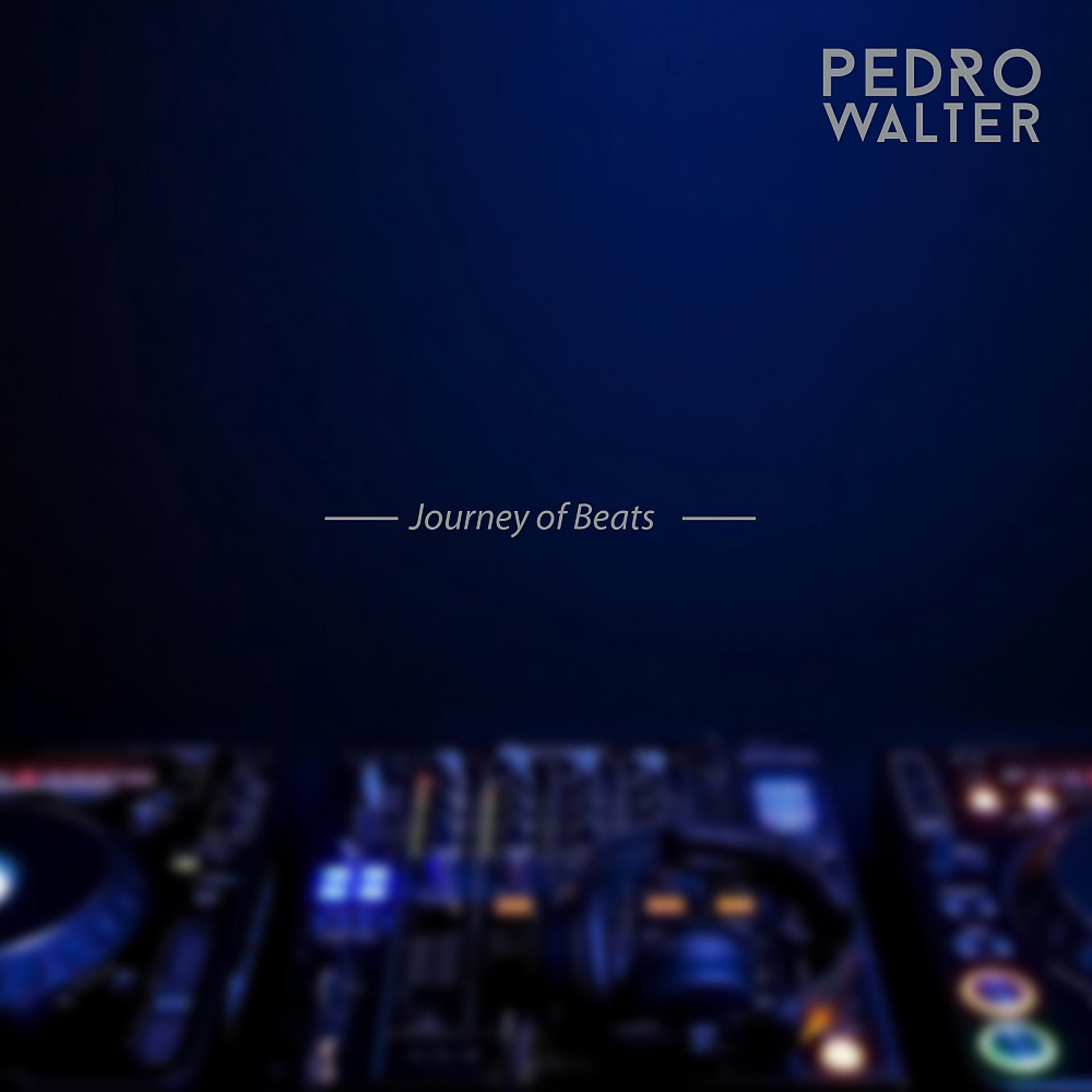 Постер альбома Journey of Beats