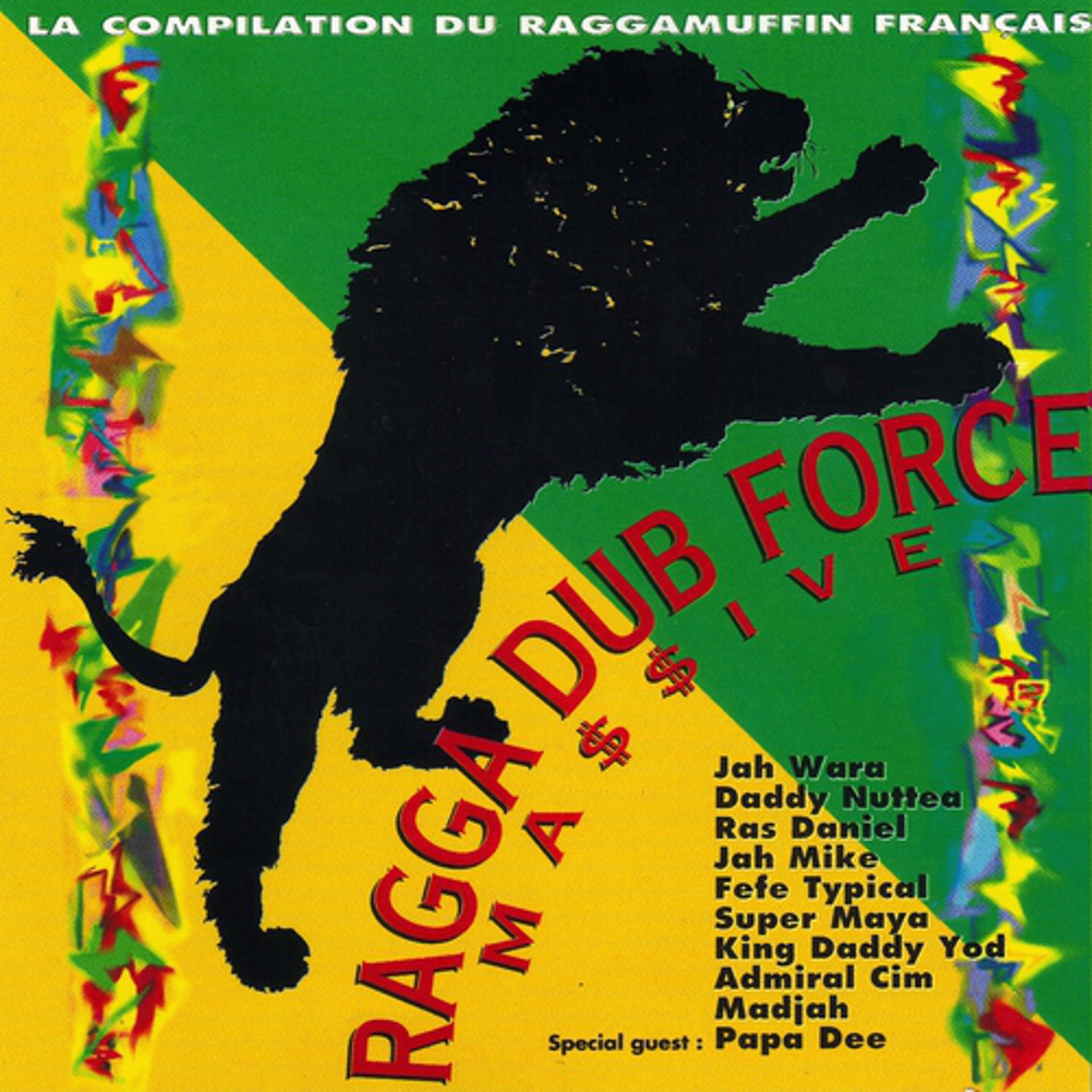 Постер альбома Ragga dub force massive