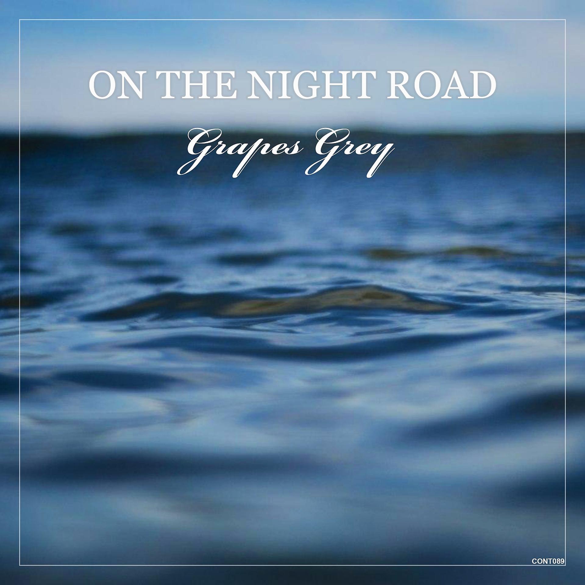 Постер альбома On the Night Road